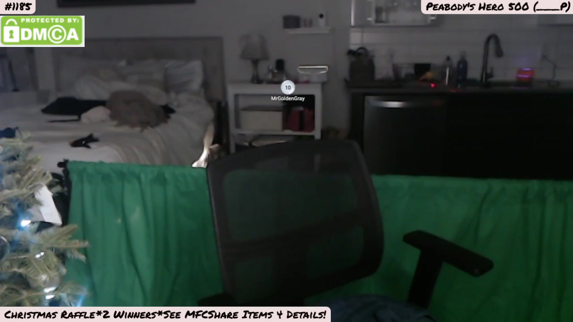 Gallery image thumbnail from MissPeabody's myfreecams stream on, 12/25/2022, 05:16 image 3 of 20