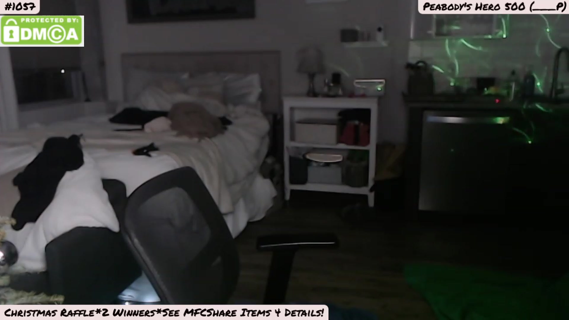Gallery image thumbnail from MissPeabody's myfreecams stream on, 12/25/2022, 05:16 image 18 of 20