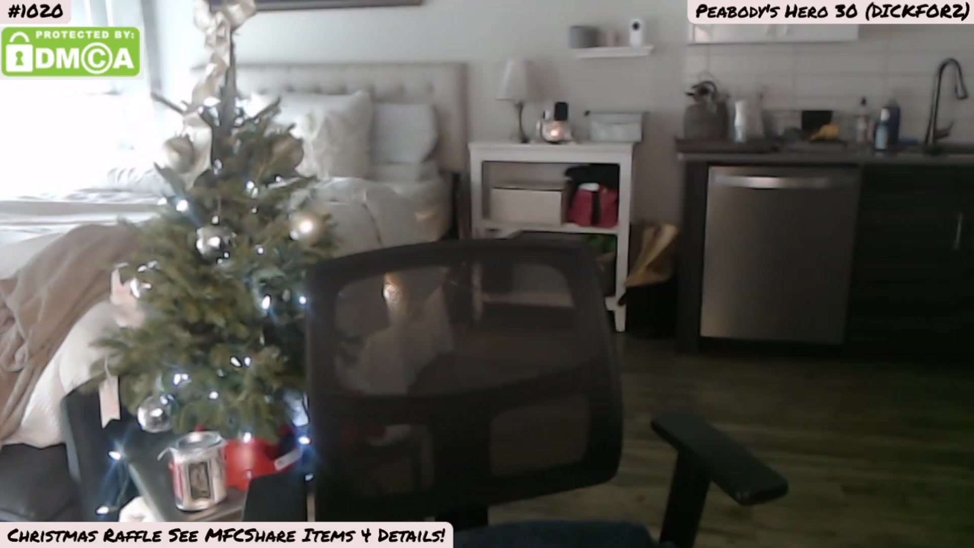 Gallery image thumbnail from MissPeabody's myfreecams stream on, 12/25/2022, 18:24 image 15 of 20