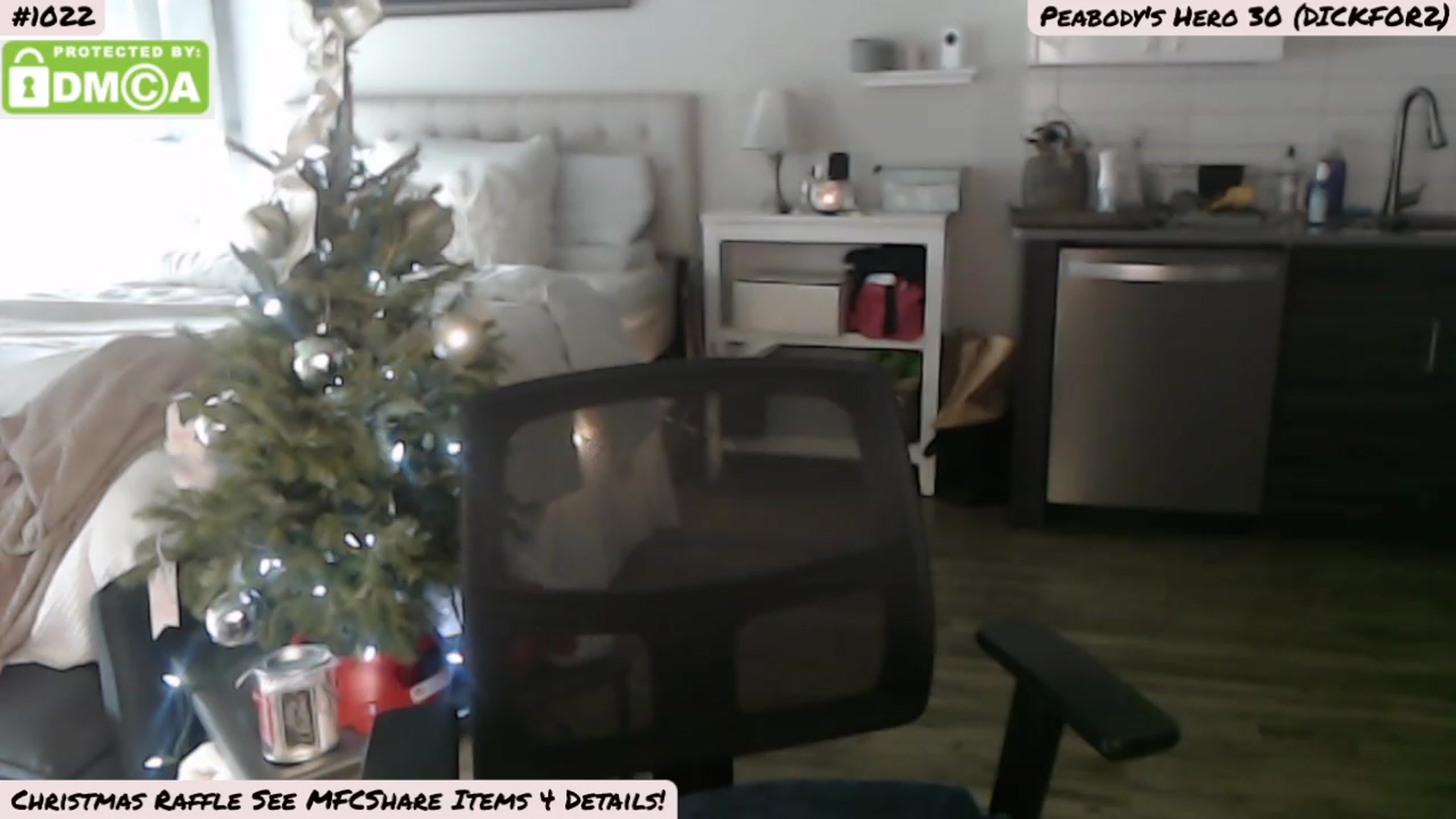 Gallery image thumbnail from MissPeabody's myfreecams stream on, 12/25/2022, 18:24 image 14 of 20