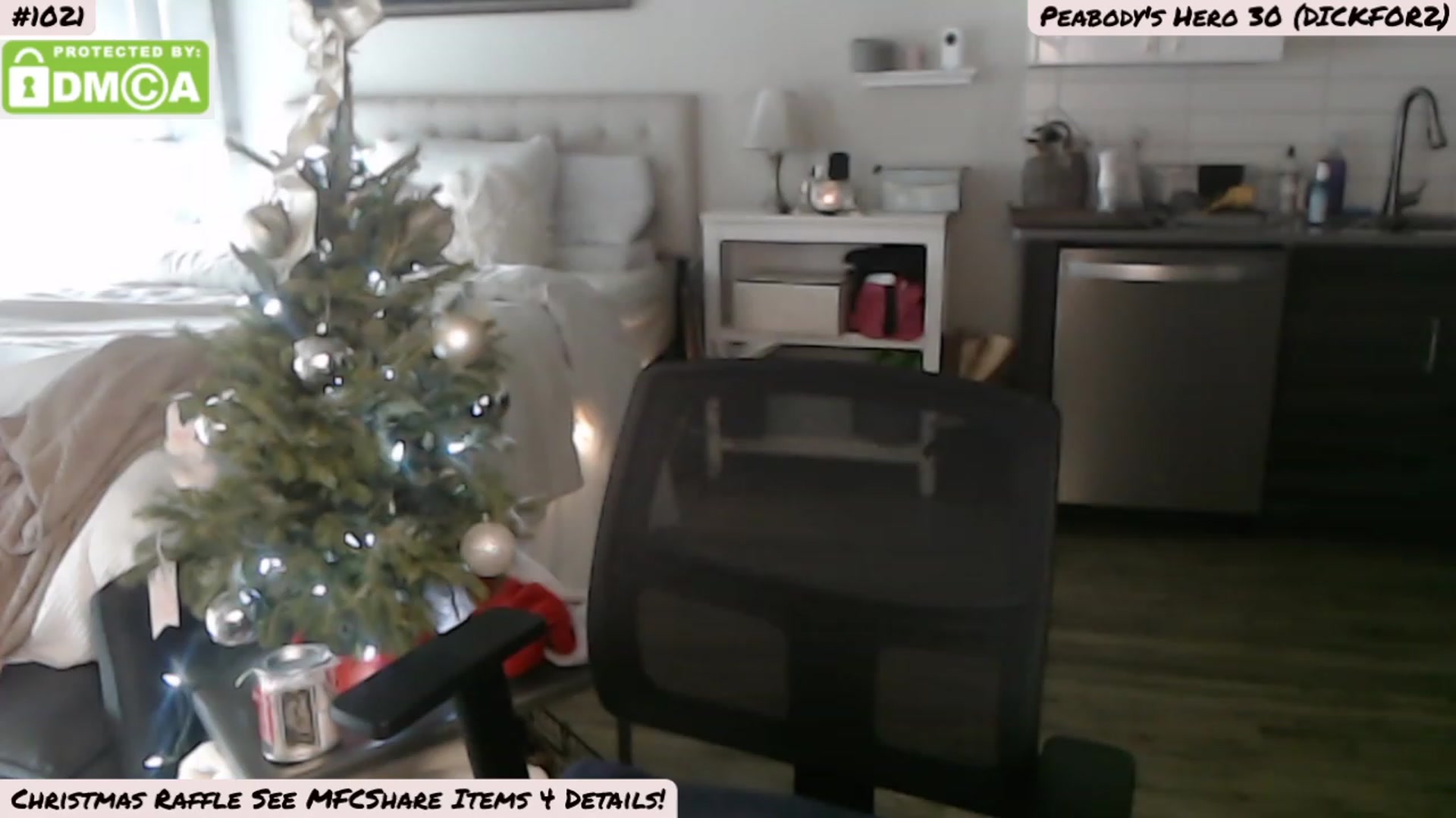 Gallery image thumbnail from MissPeabody's myfreecams stream on, 12/25/2022, 18:24 image 16 of 20