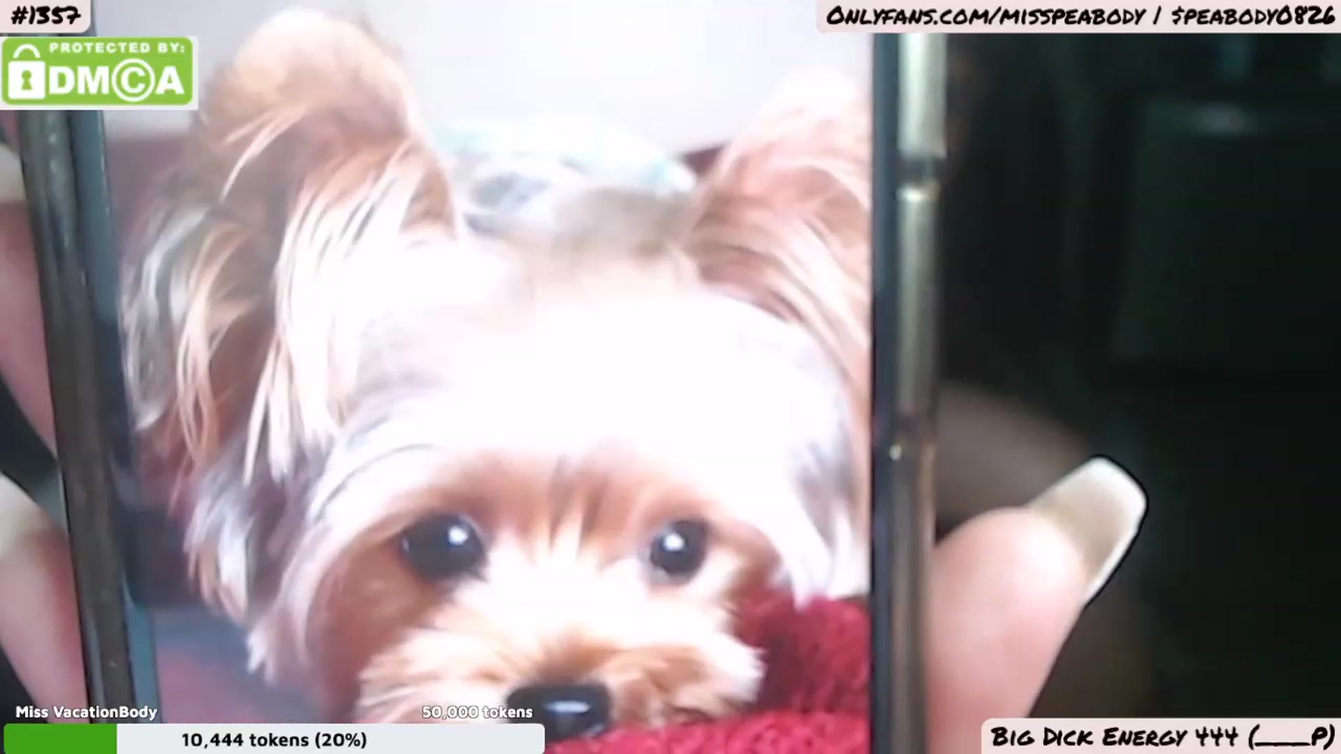 Gallery image thumbnail from MissPeabody's myfreecams stream on, 05/18/2023, 02:29 image 18 of 20