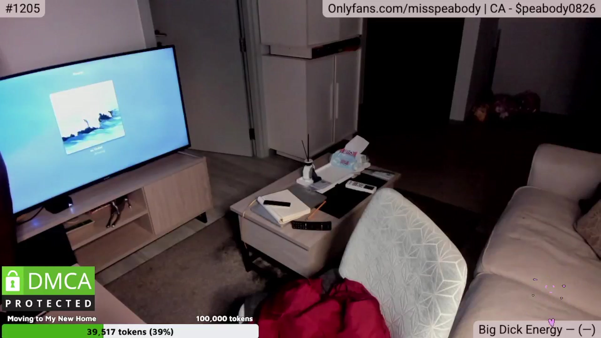 Gallery image thumbnail from MissPeabody's myfreecams stream on, 02/18/2025, 14:16 image 17 of 20