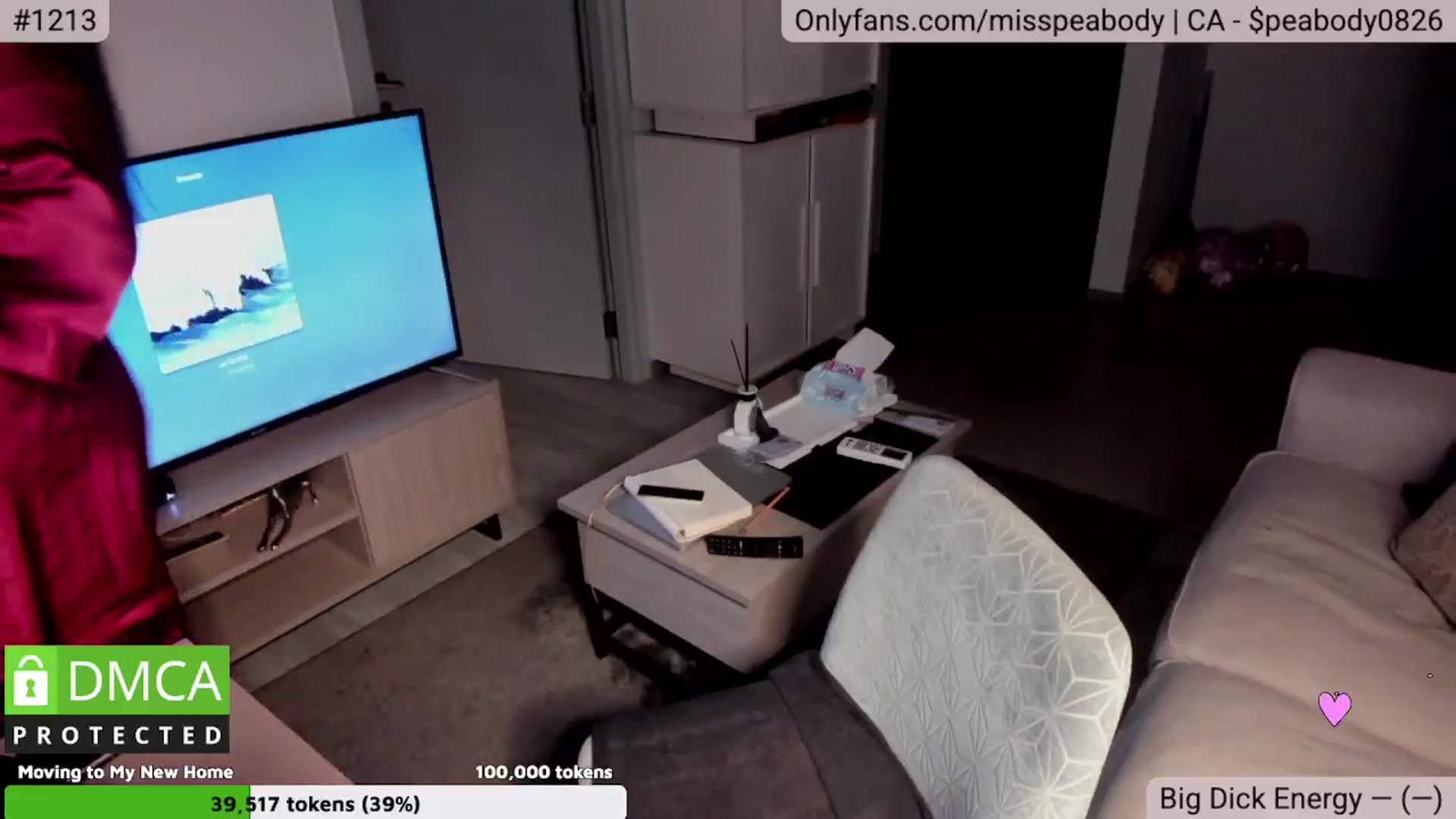 Gallery image thumbnail from MissPeabody's myfreecams stream on, 02/18/2025, 14:16 image 16 of 20