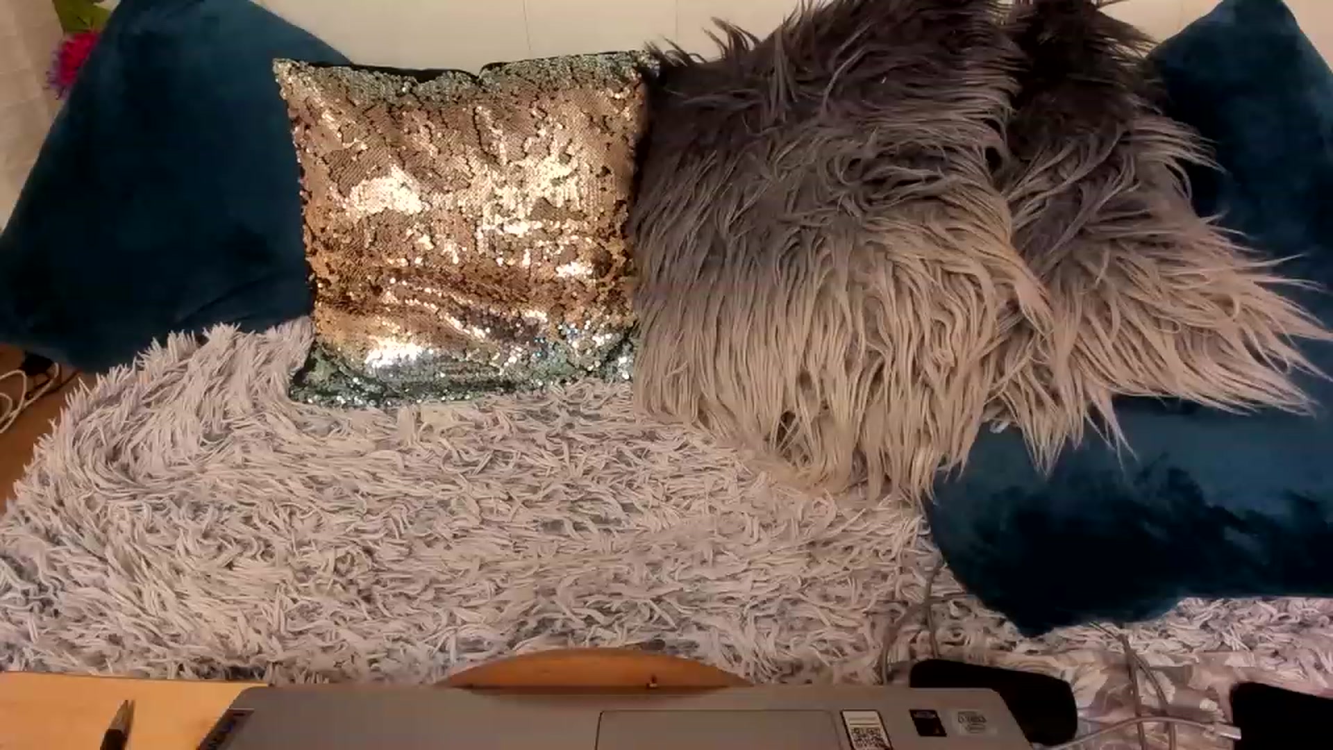 Gallery image thumbnail from MissPhantasy's myfreecams stream on, 12/03/2022, 13:40 image 18 of 20