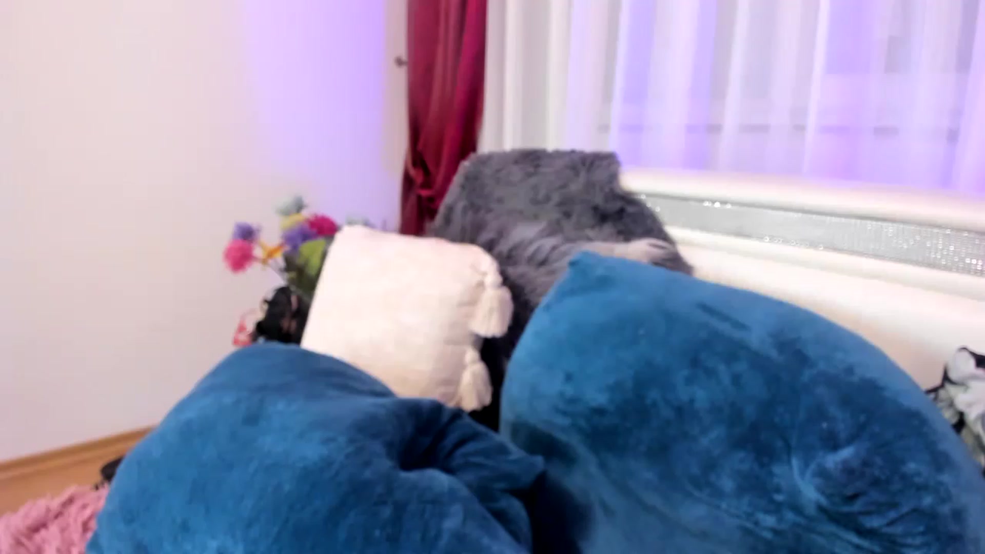 Gallery image thumbnail from MissPhantasy's myfreecams stream on, 05/07/2023, 21:56 image 13 of 20