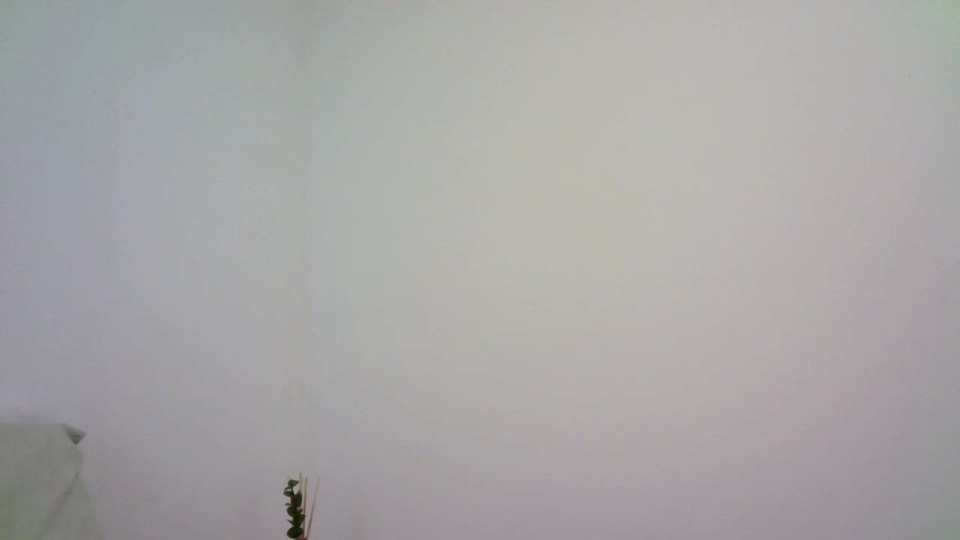 Gallery image thumbnail from MissRose2792's myfreecams stream on, 02/14/2023, 09:03 image 15 of 20