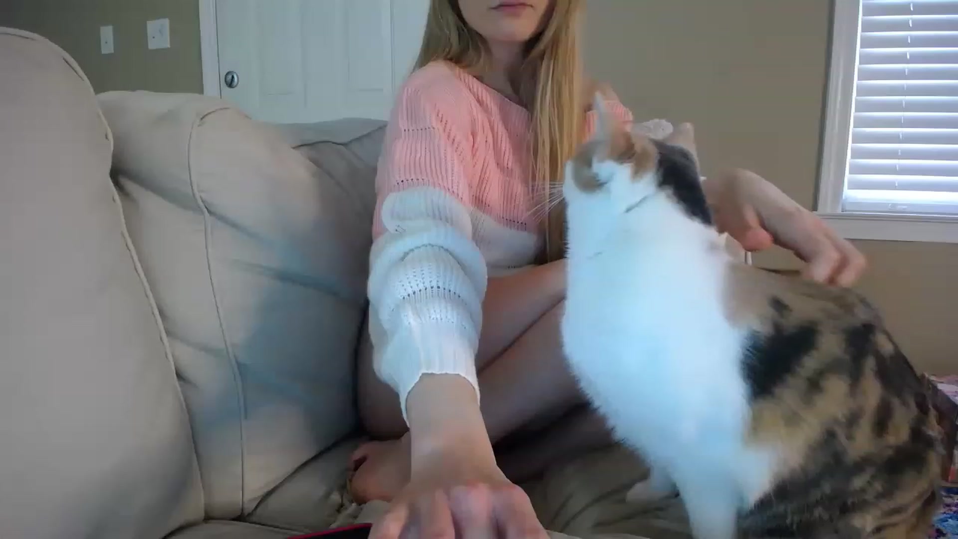 Gallery image thumbnail from MissSadieB's myfreecams stream on, 01/25/2023, 21:33 image 12 of 20