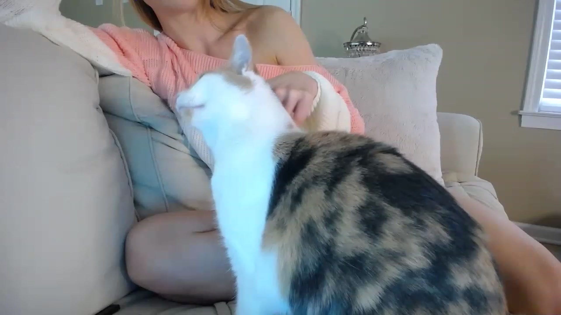 Gallery image thumbnail from MissSadieB's myfreecams stream on, 01/25/2023, 21:33 image 16 of 20