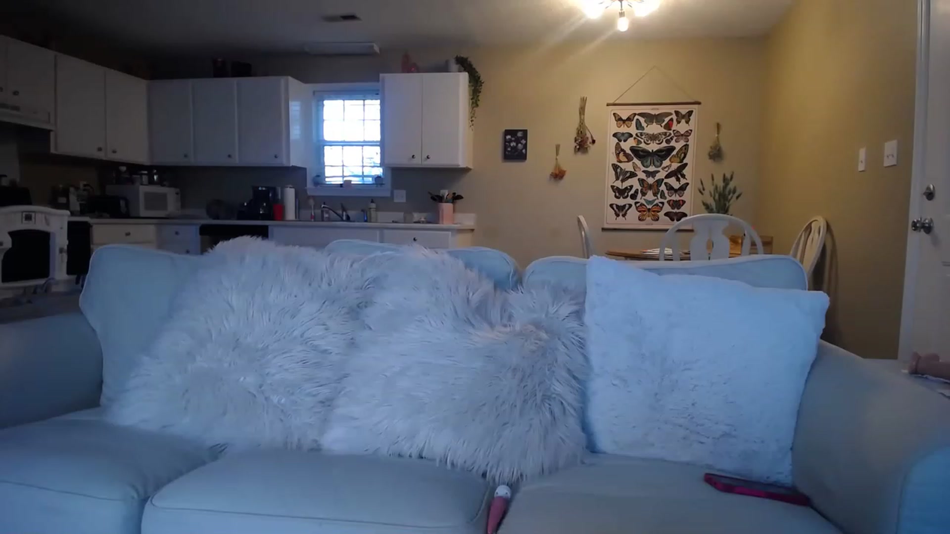 Gallery image thumbnail from MissSadieB's myfreecams stream on, 03/06/2023, 21:55 image 17 of 20