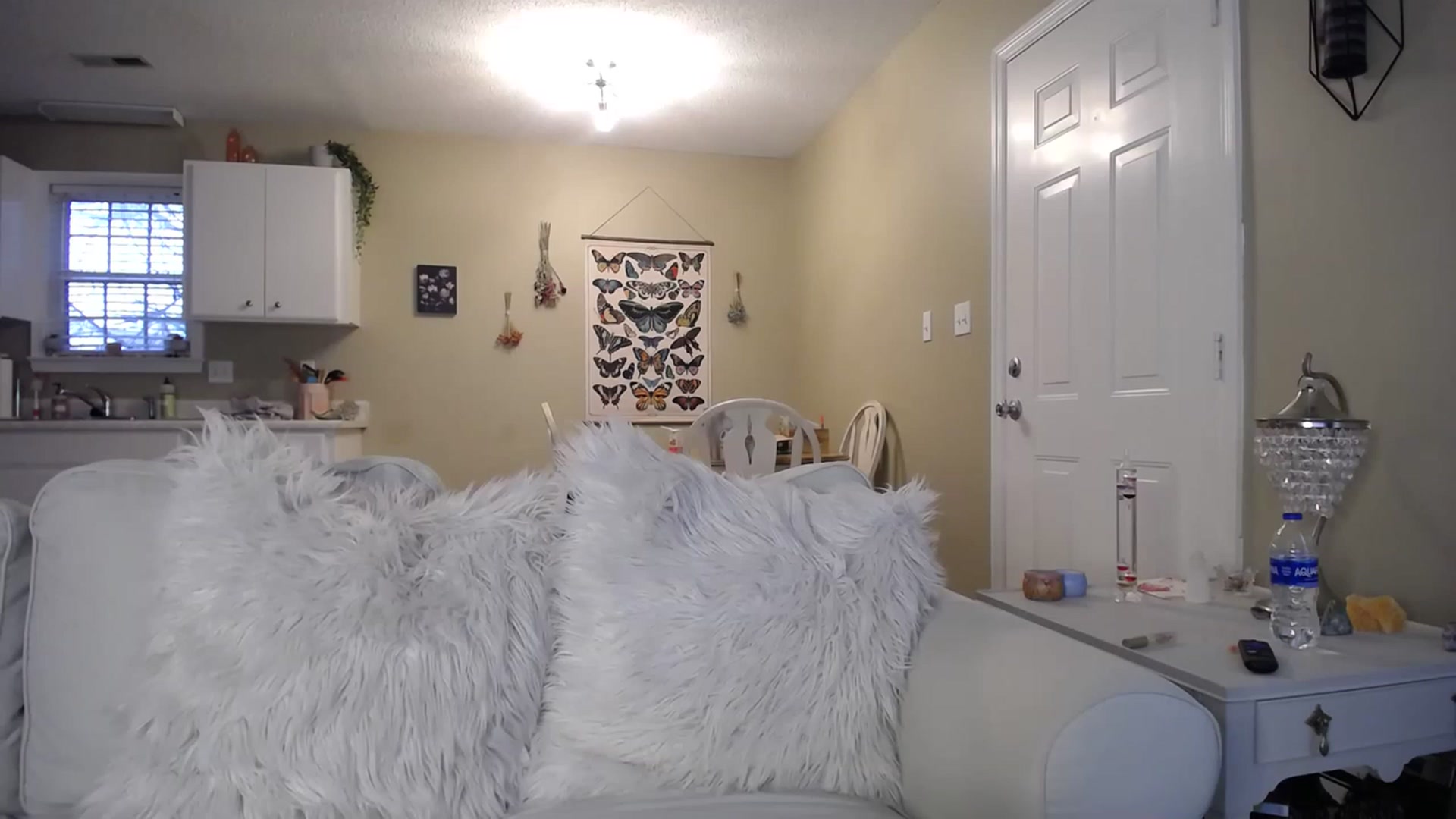 Gallery image thumbnail from MissSadieB's myfreecams stream on, 03/17/2023, 20:46 image 20 of 20