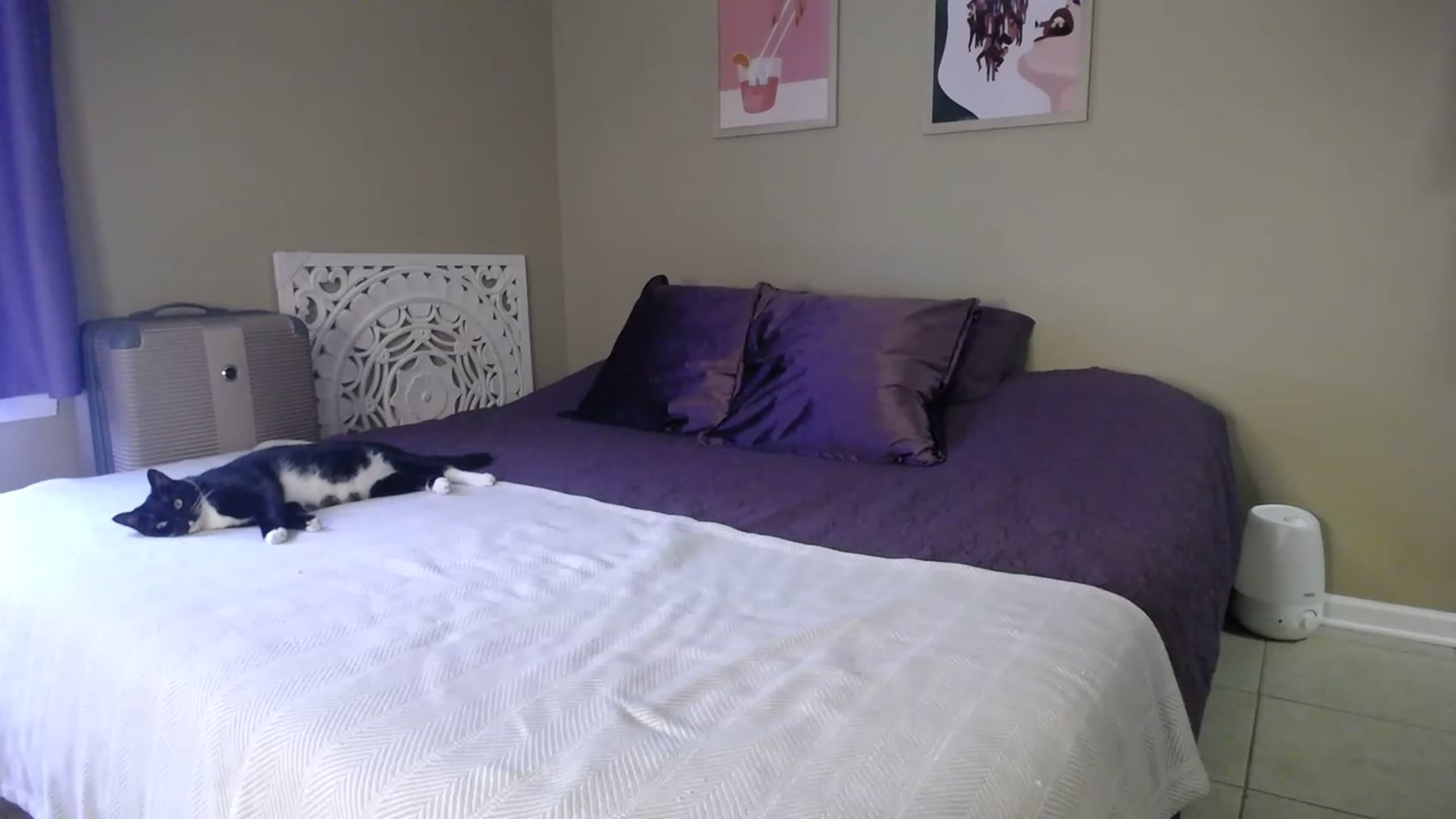 Gallery image thumbnail from MissSadieB's myfreecams stream on, 05/10/2023, 17:05 image 17 of 20