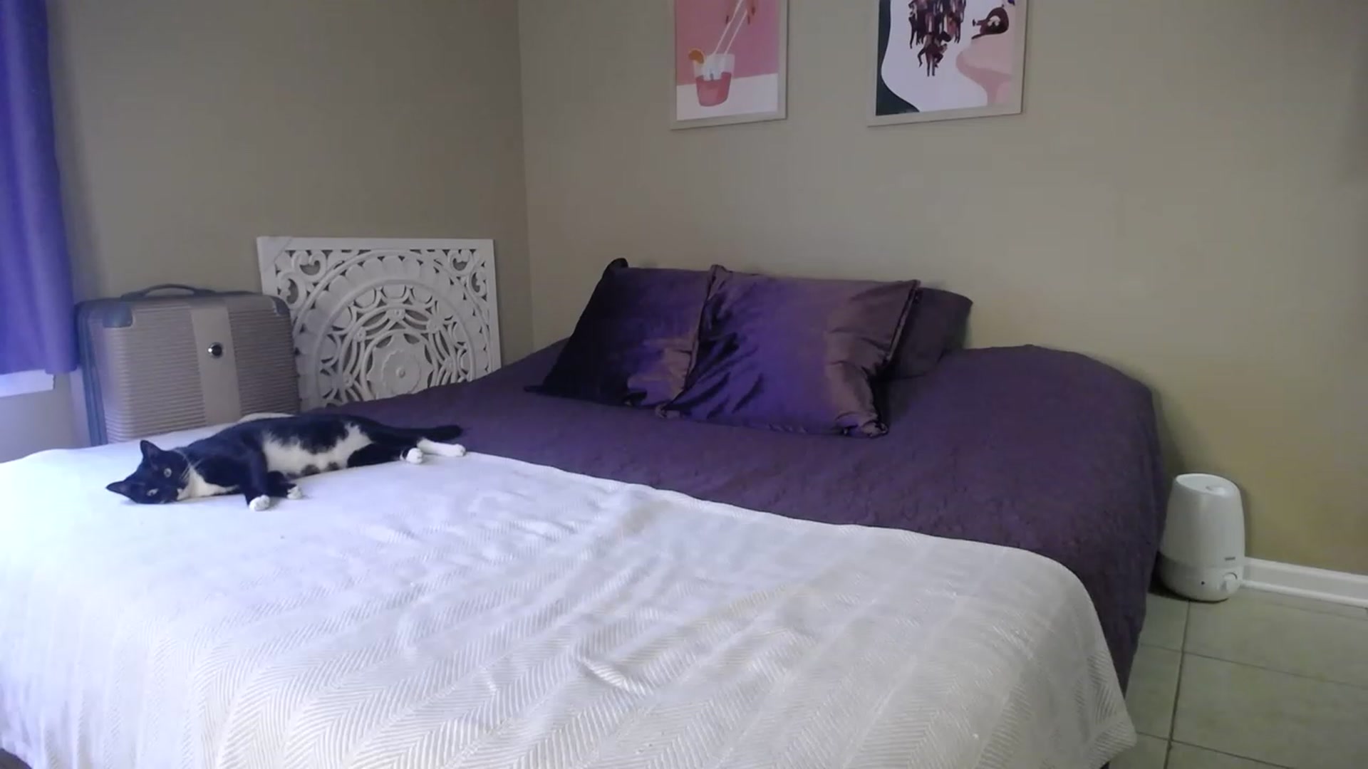Gallery image thumbnail from MissSadieB's myfreecams stream on, 05/10/2023, 17:05 image 16 of 20