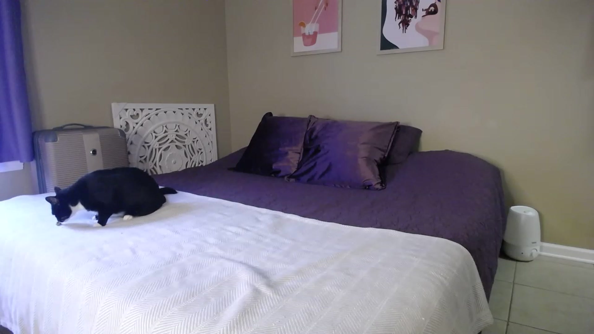 Gallery image thumbnail from MissSadieB's myfreecams stream on, 05/10/2023, 17:05 image 18 of 20
