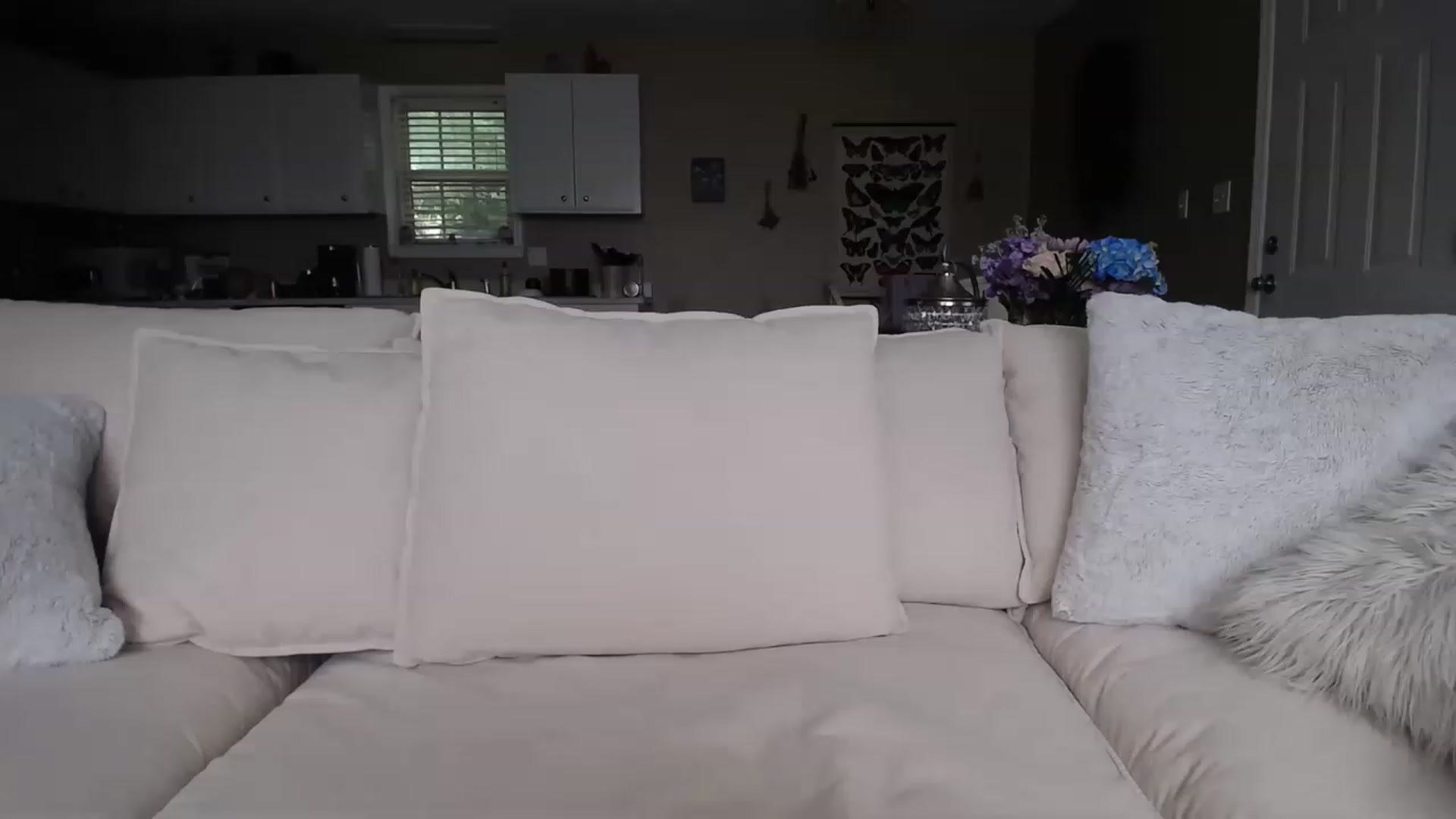 Gallery image thumbnail from MissSadieB's myfreecams stream on, 05/16/2023, 22:38 image 1 of 20