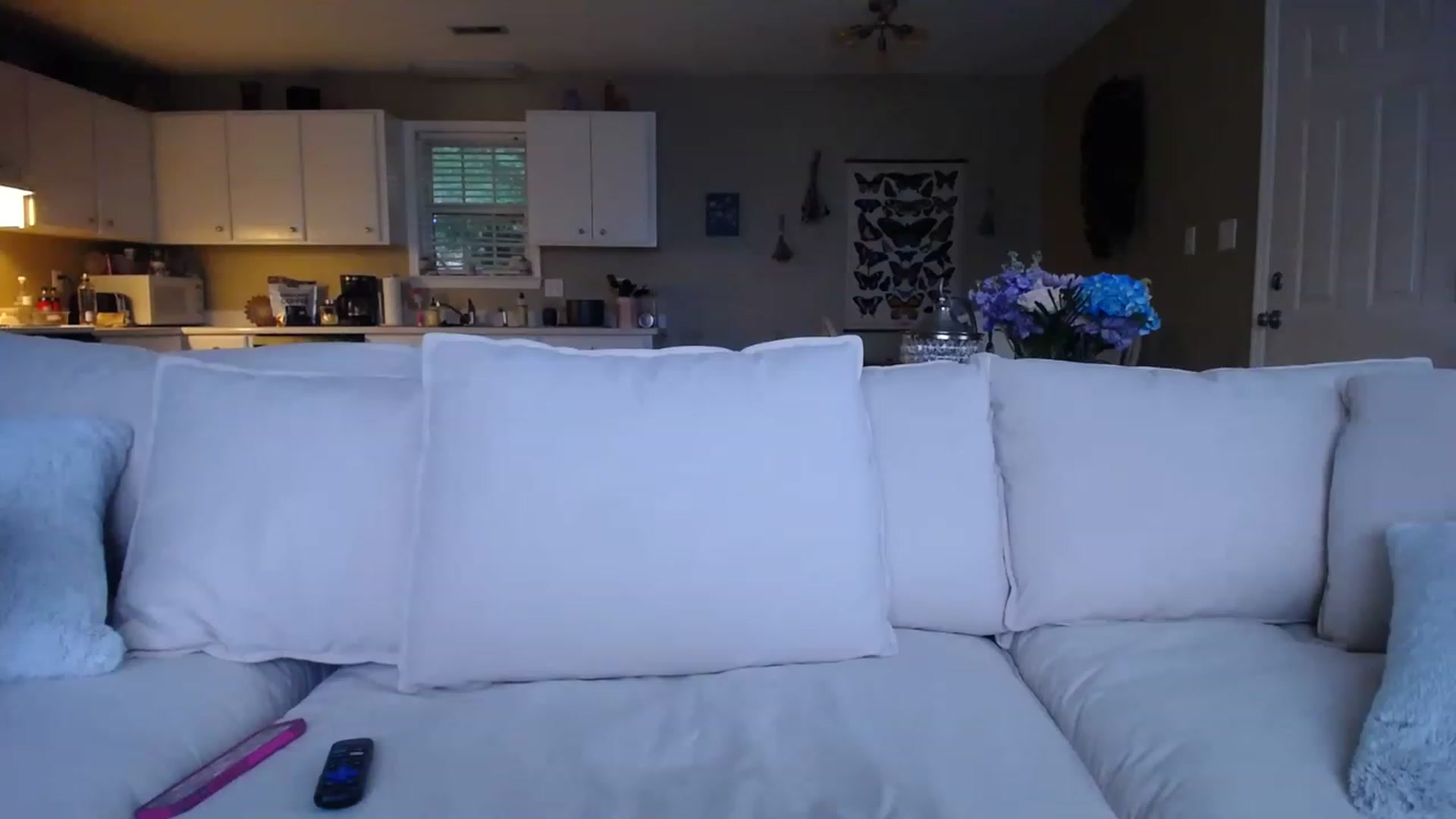 Gallery image thumbnail from MissSadieB's myfreecams stream on, 05/17/2023, 01:17 image 1 of 20
