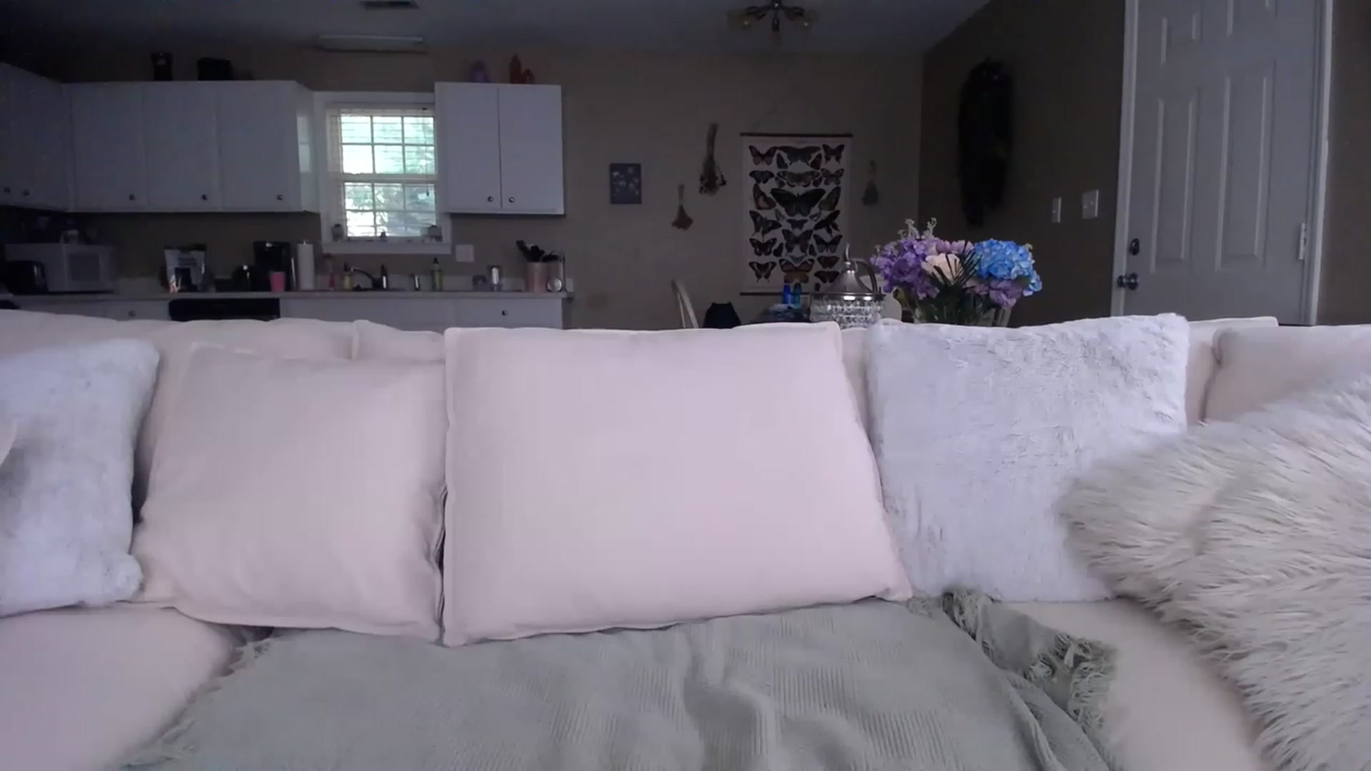 Gallery image thumbnail from MissSadieB's myfreecams stream on, 05/17/2023, 20:58 image 15 of 20