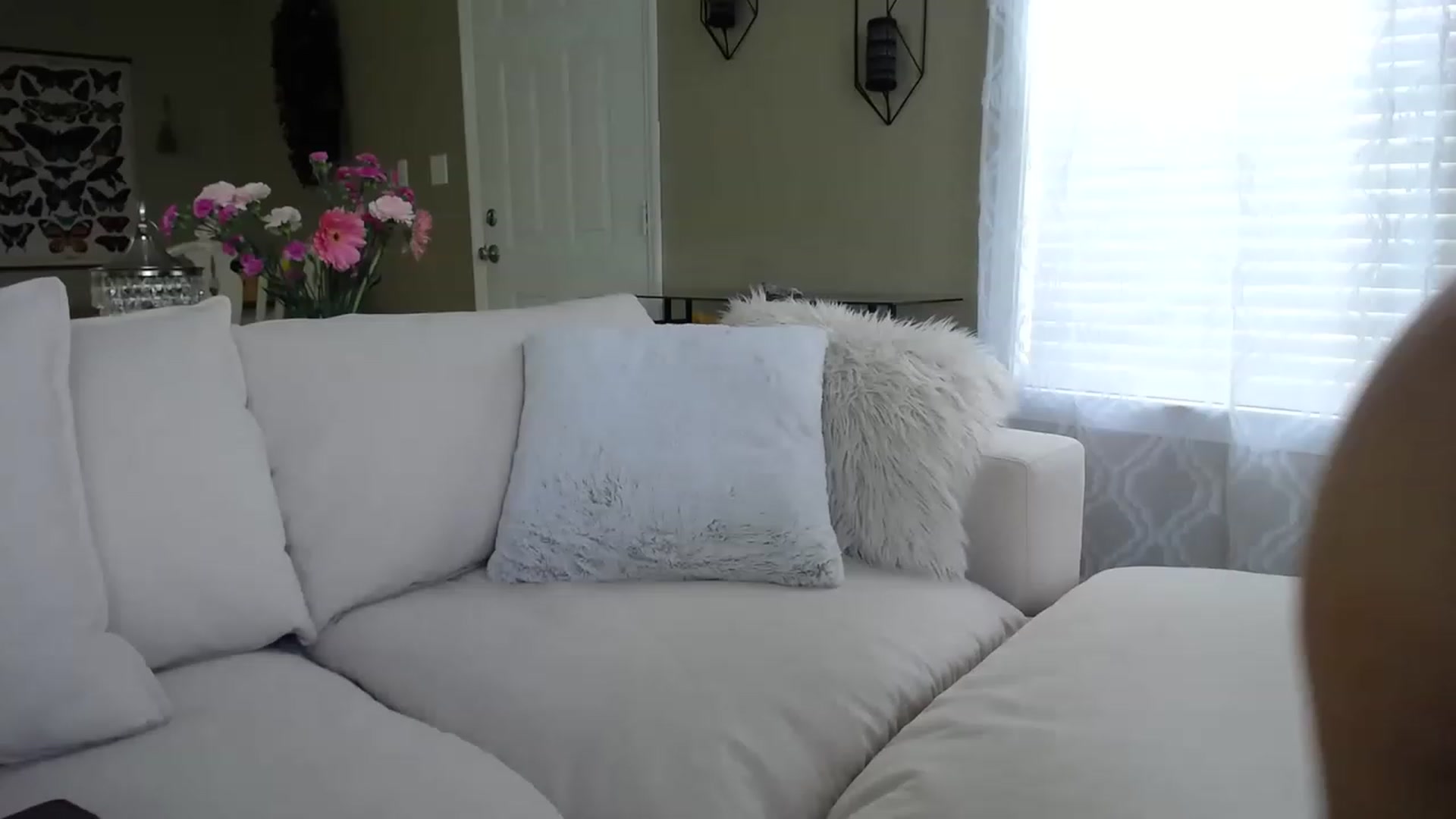 Gallery image thumbnail from MissSadieB's myfreecams stream on, 05/30/2023, 20:07 image 18 of 20