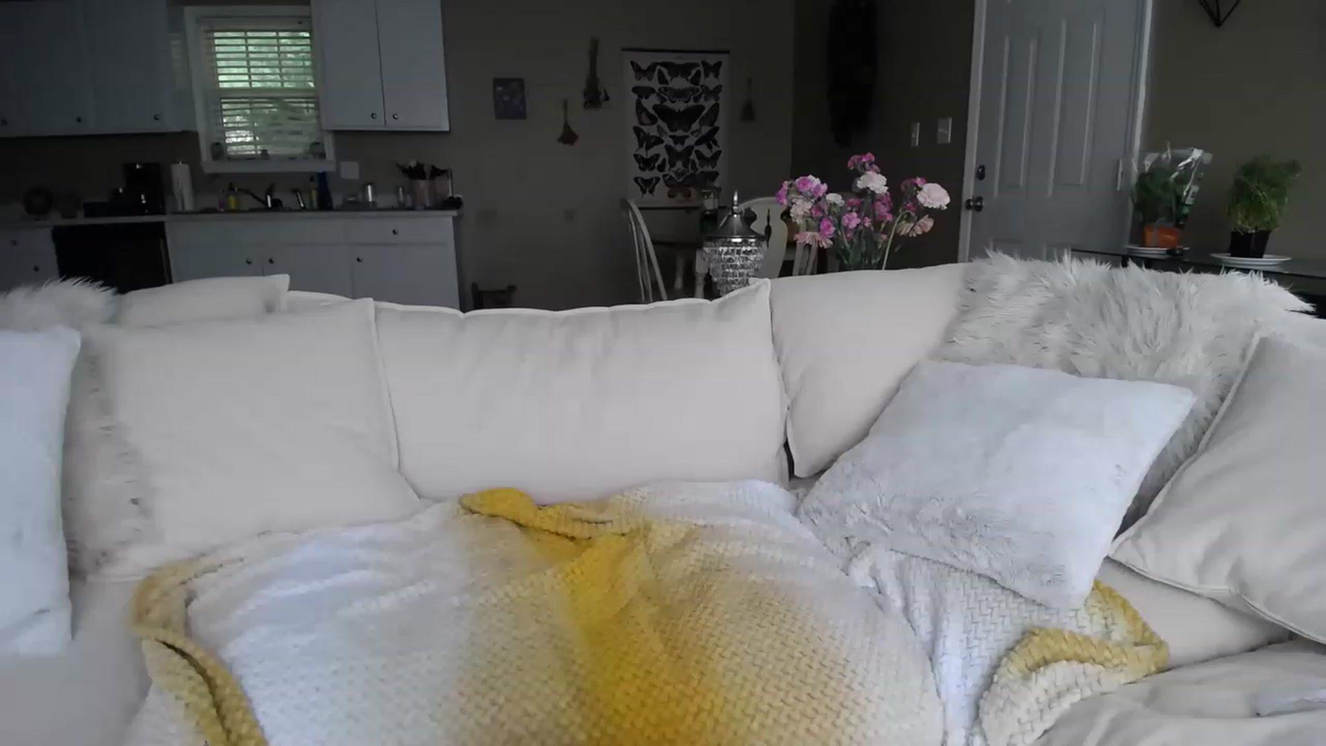Gallery image thumbnail from MissSadieB's myfreecams stream on, 06/07/2023, 20:18 image 8 of 20