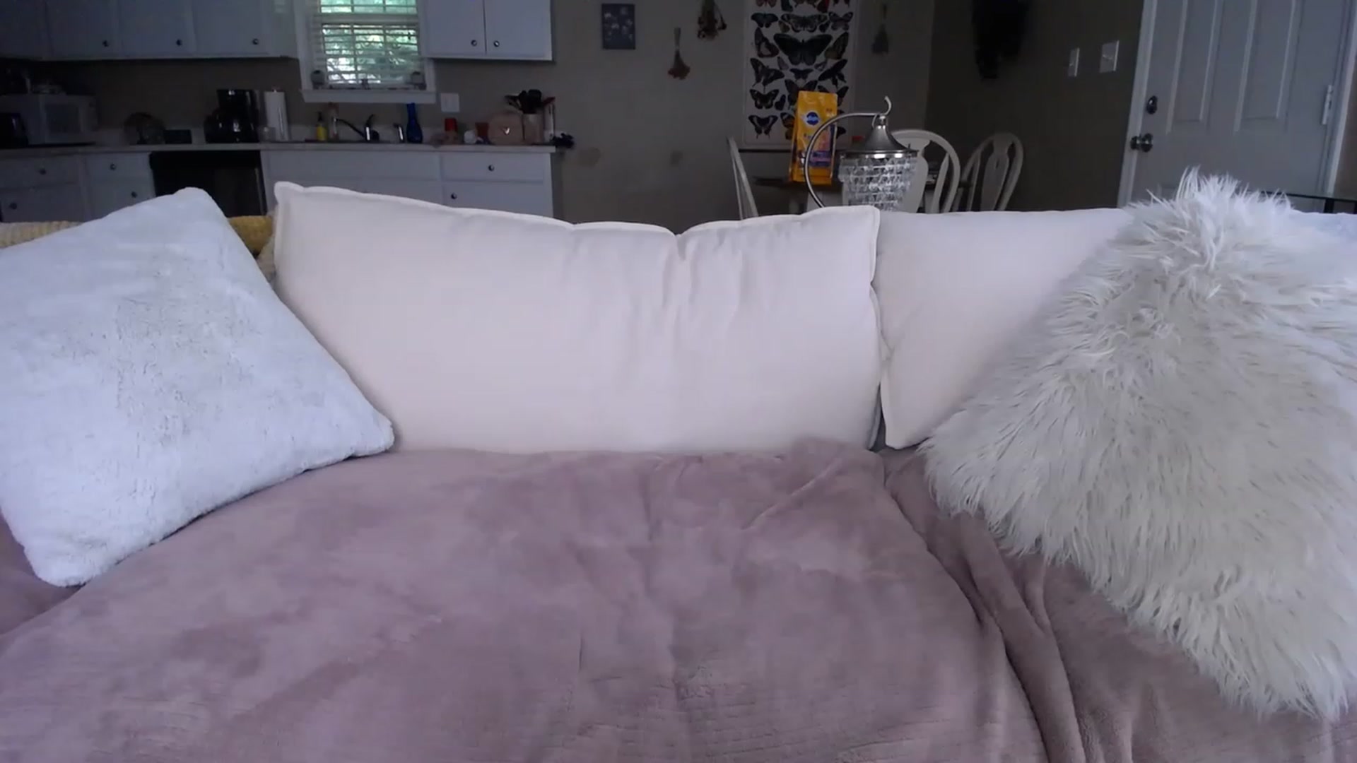 Gallery image thumbnail from MissSadieB's myfreecams stream on, 06/20/2023, 21:10 image 19 of 20
