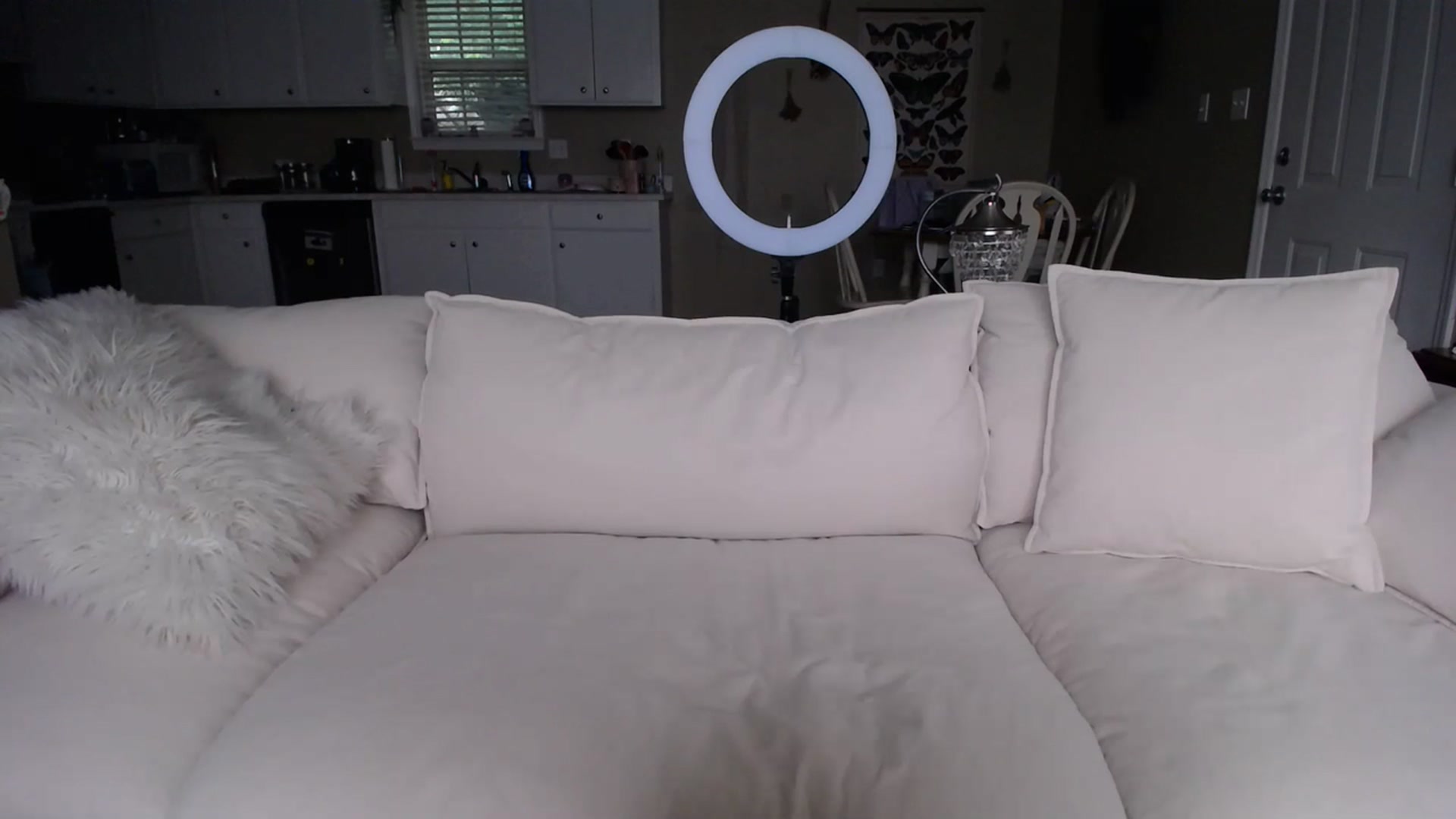 Gallery image thumbnail from MissSadieB's myfreecams stream on, 06/25/2023, 20:56 image 15 of 20