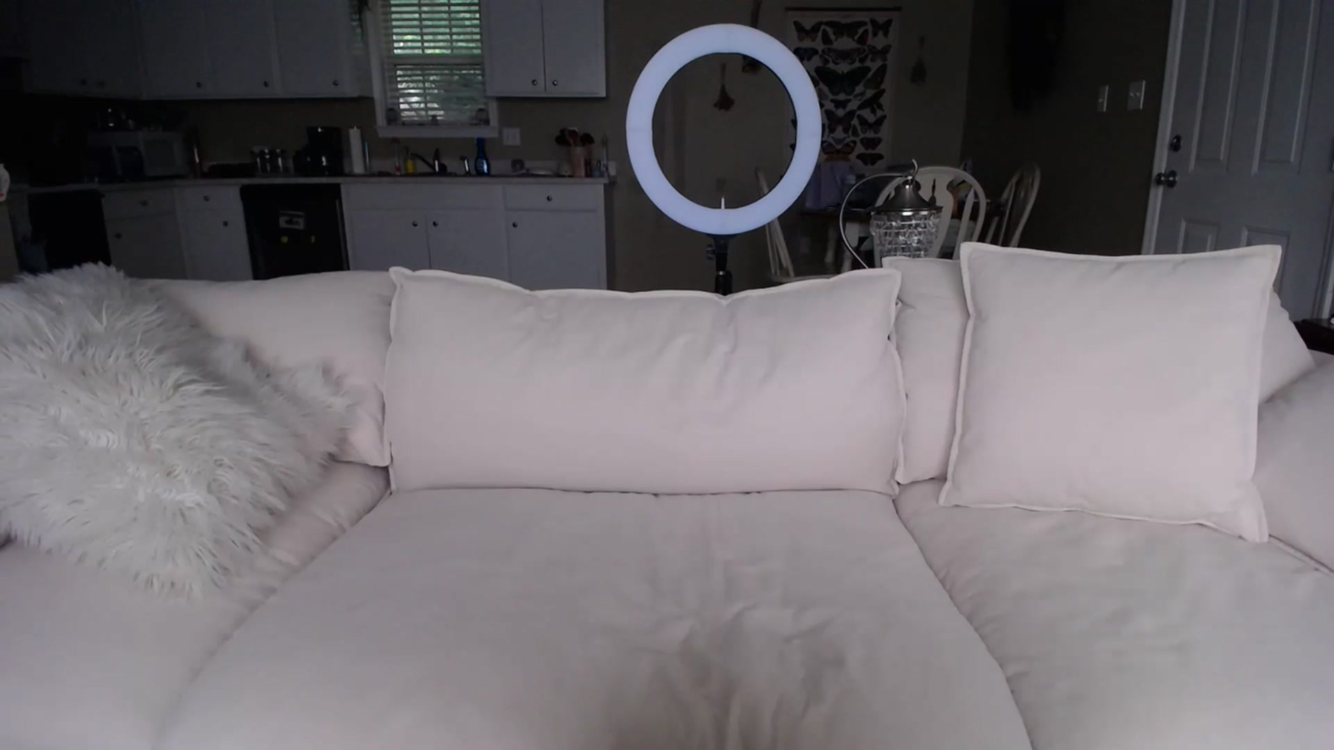 Gallery image thumbnail from MissSadieB's myfreecams stream on, 06/25/2023, 20:56 image 14 of 20