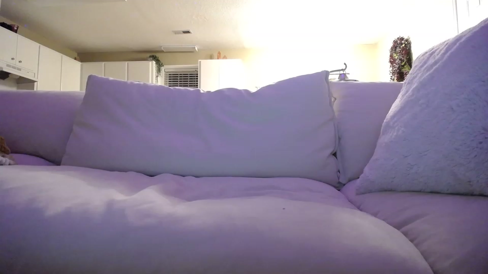 Gallery image thumbnail from MissSadieB's myfreecams stream on, 06/28/2023, 02:12 image 7 of 20