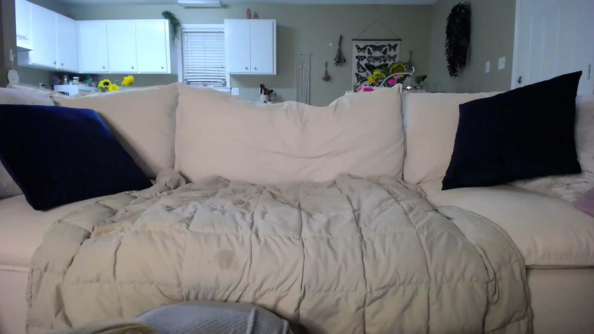 Gallery image thumbnail from MissSadieB's myfreecams stream on, 07/10/2023, 24:59 image 20 of 20