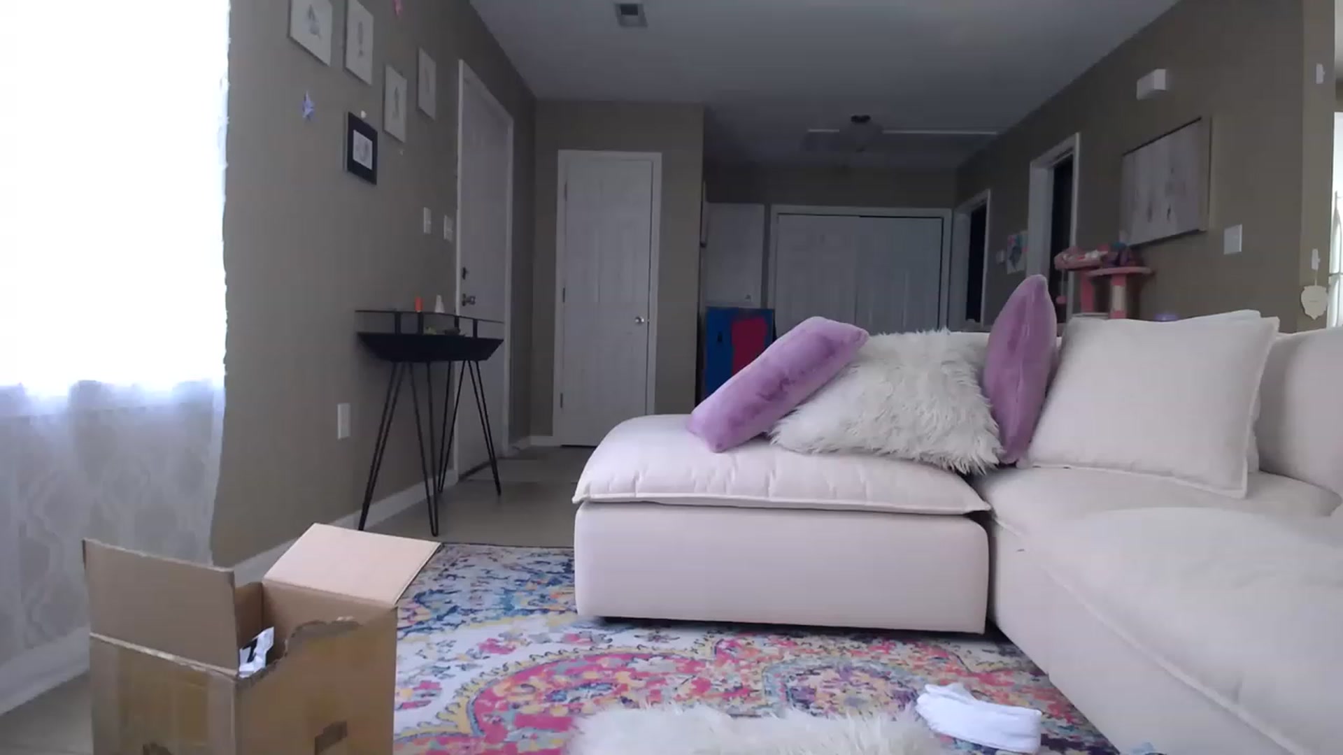 Gallery image thumbnail from MissSadieB's myfreecams stream on, 07/11/2023, 19:59 image 13 of 20