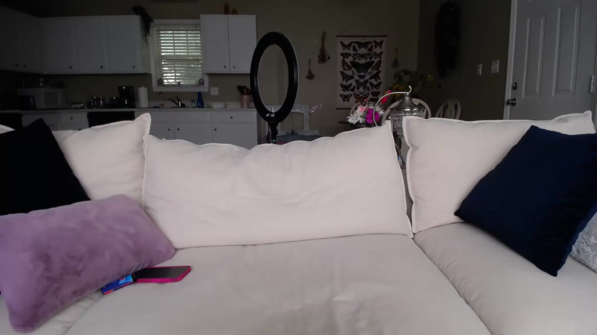Gallery image thumbnail from MissSadieB's myfreecams stream on, 07/17/2023, 21:21 image 15 of 20
