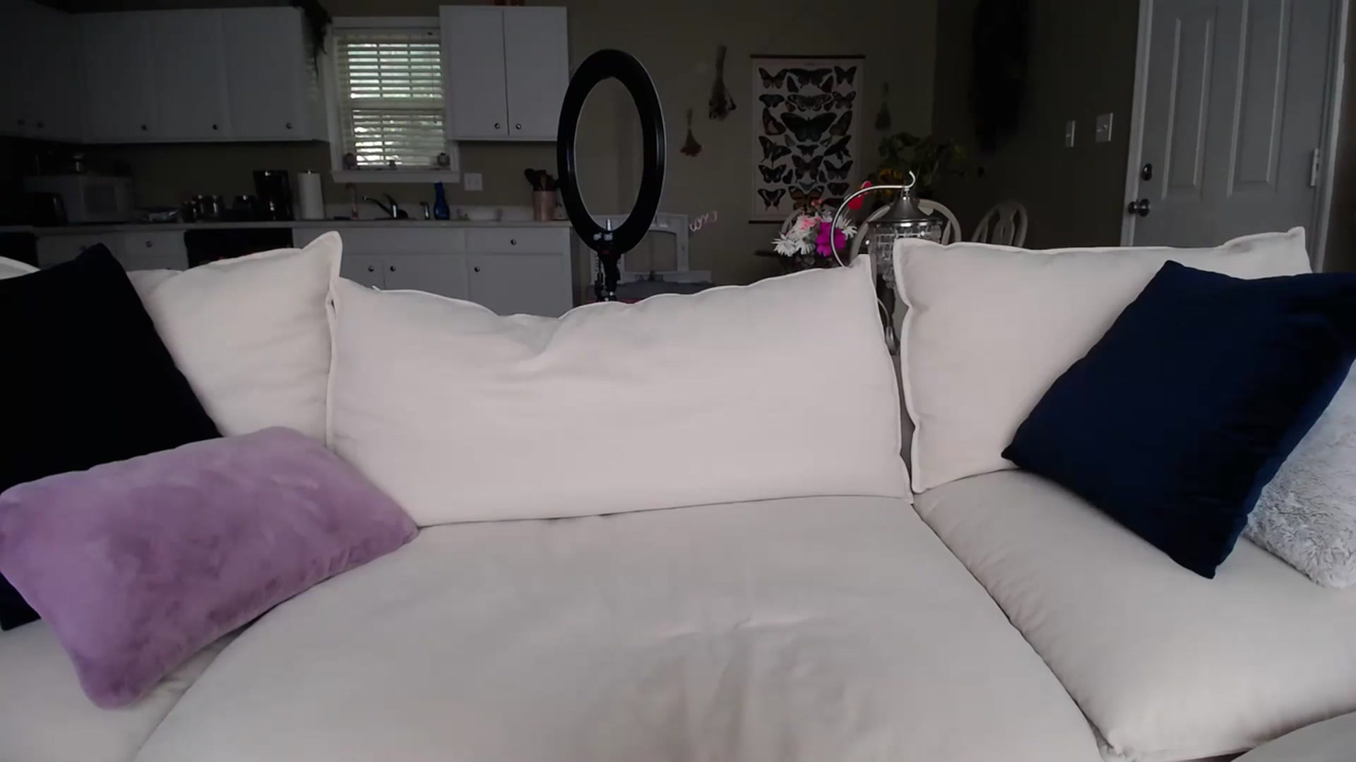 Gallery image thumbnail from MissSadieB's myfreecams stream on, 07/17/2023, 21:53 image 2 of 20