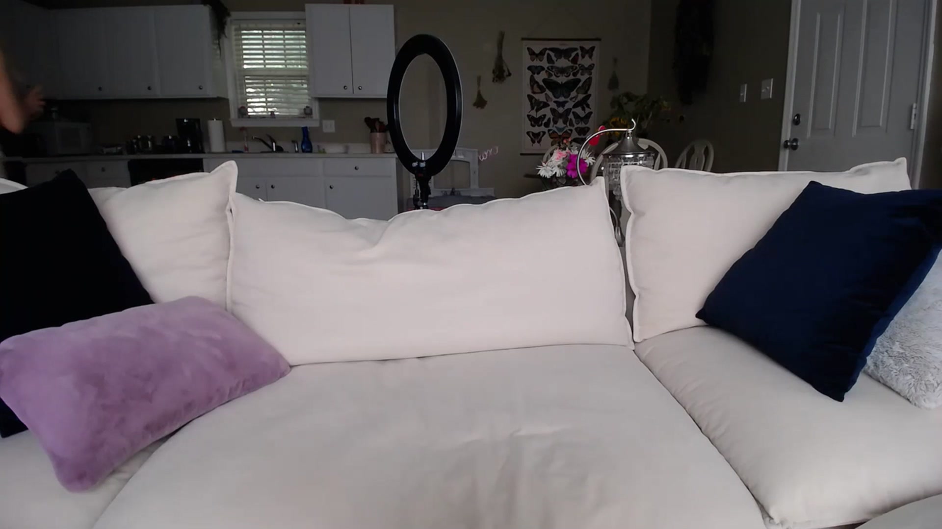 Gallery image thumbnail from MissSadieB's myfreecams stream on, 07/17/2023, 21:53 image 3 of 20