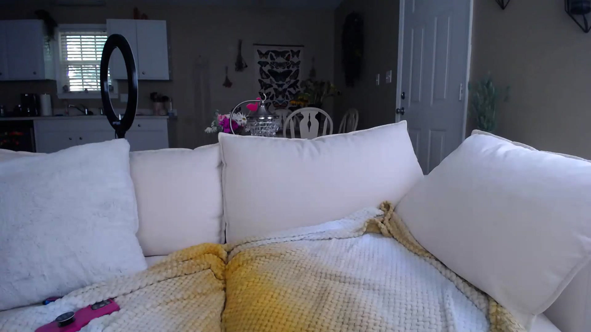 Gallery image thumbnail from MissSadieB's myfreecams stream on, 07/19/2023, 21:29 image 2 of 20