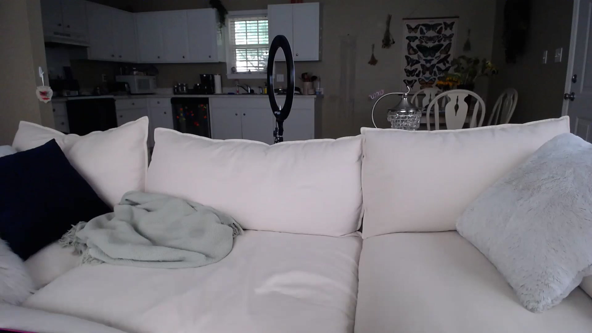 Gallery image thumbnail from MissSadieB's myfreecams stream on, 07/20/2023, 19:45 image 8 of 20