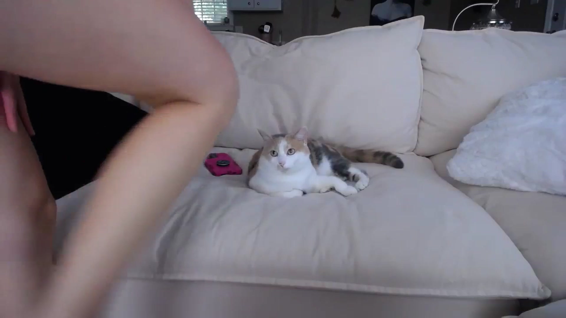 Gallery image thumbnail from MissSadieB's myfreecams stream on, 09/11/2023, 19:21 image 9 of 20