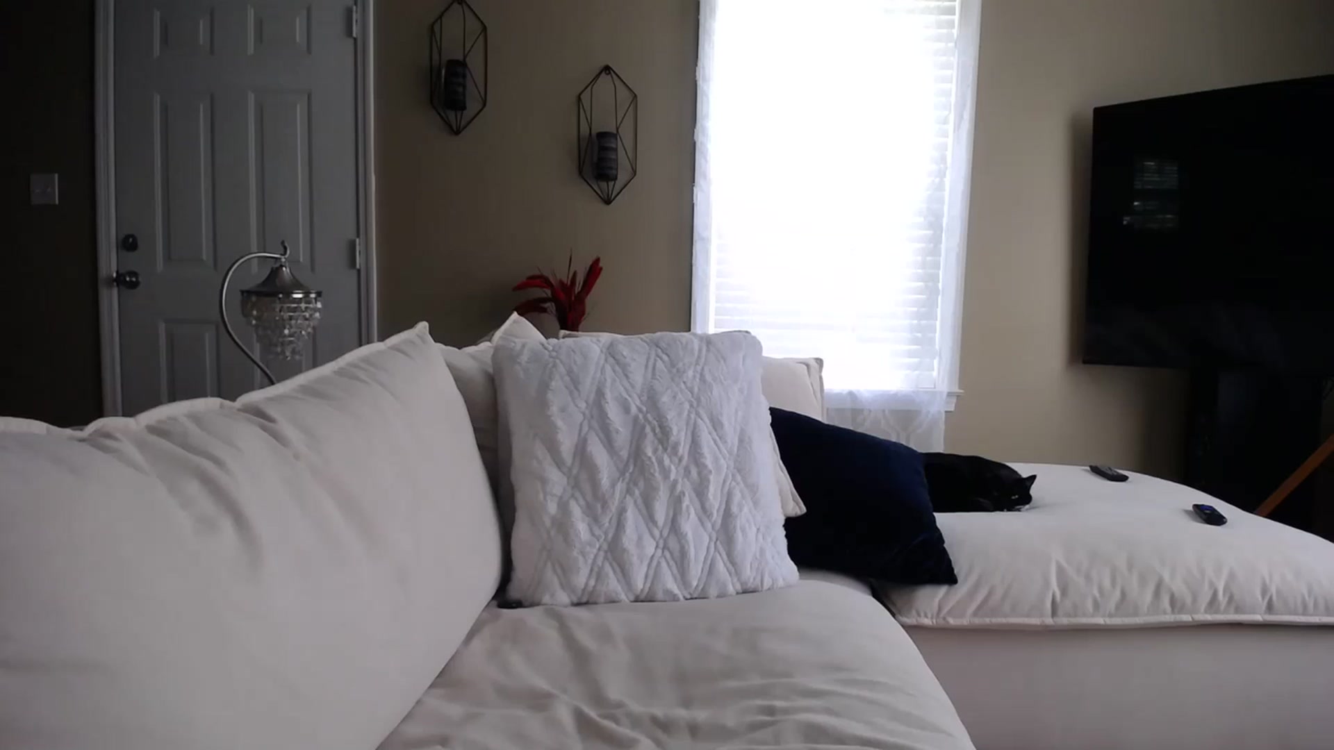 Gallery image thumbnail from MissSadieB's myfreecams stream on, 09/14/2023, 20:50 image 13 of 20
