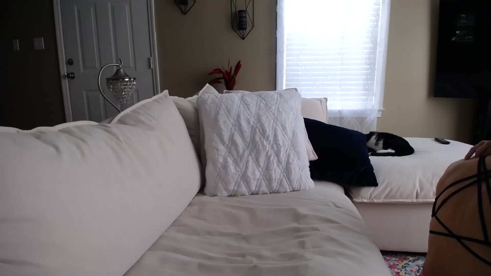 Gallery image thumbnail from MissSadieB's myfreecams stream on, 09/14/2023, 20:50 image 5 of 20