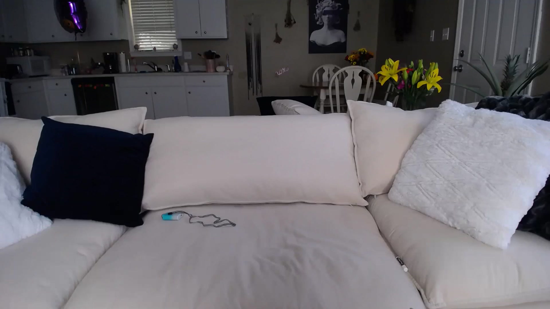 Gallery image thumbnail from MissSadieB's myfreecams stream on, 11/02/2023, 18:30 image 12 of 20