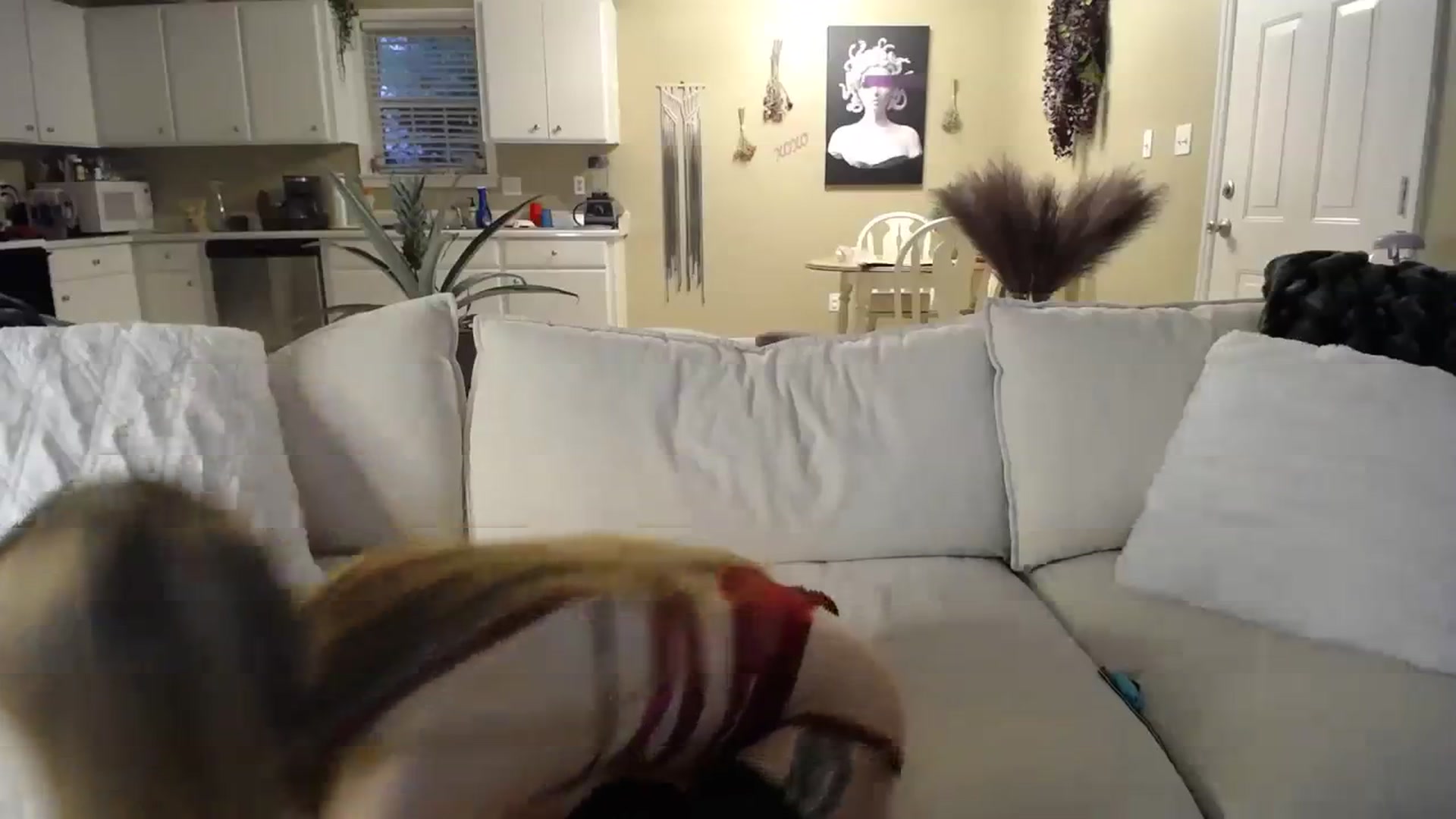 Gallery image thumbnail from MissSadieB's myfreecams stream on, 11/21/2023, 21:25 image 19 of 20