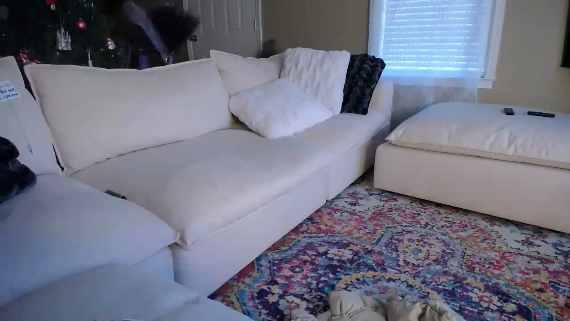 Gallery image thumbnail from MissSadieB's myfreecams stream on, 12/18/2023, 22:02 image 16 of 20