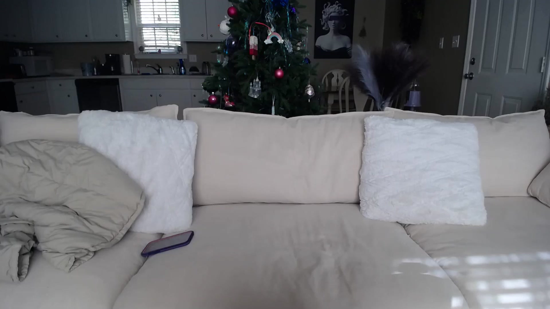 Gallery image thumbnail from MissSadieB's myfreecams stream on, 12/21/2023, 17:09 image 6 of 20