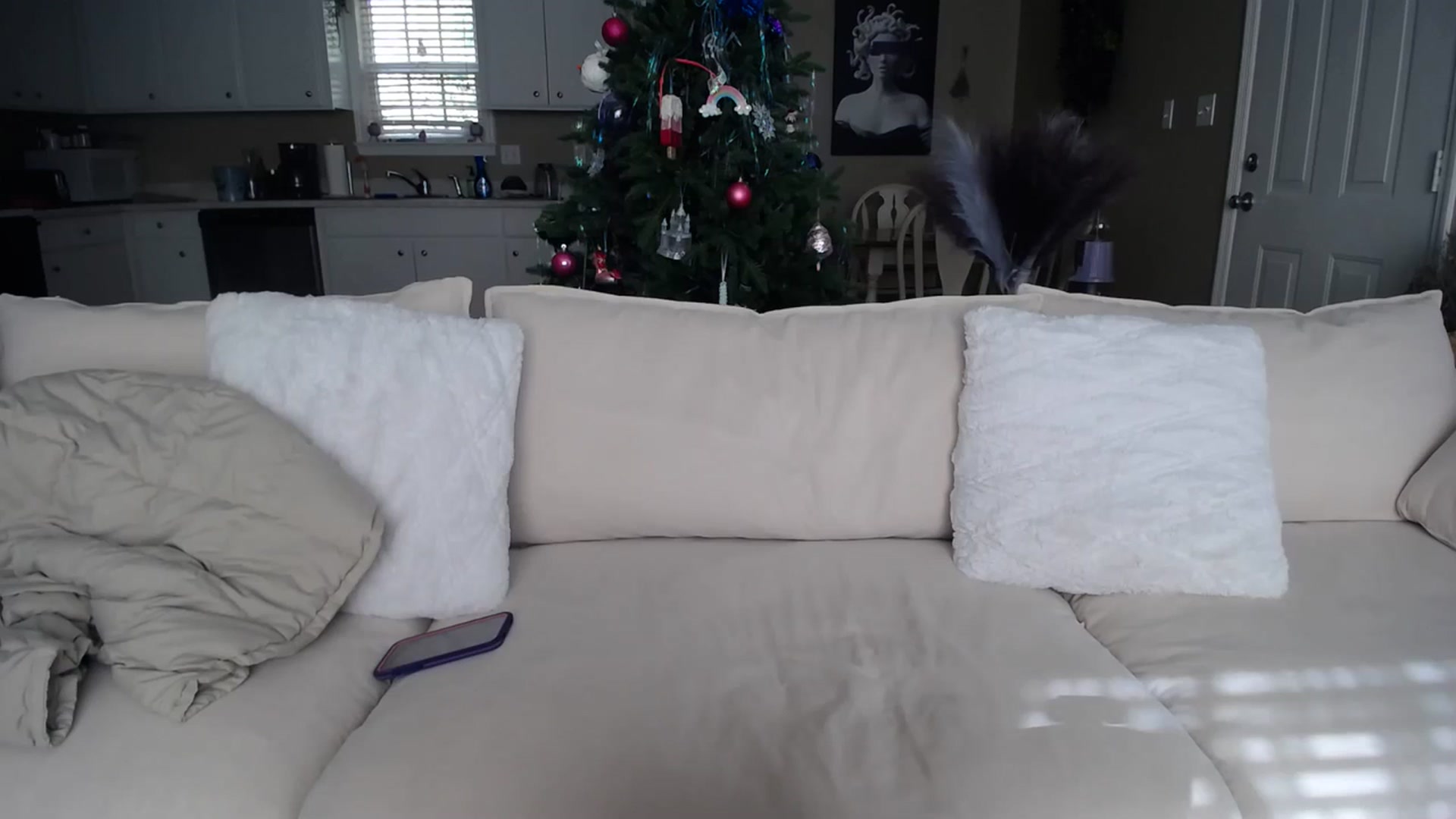Gallery image thumbnail from MissSadieB's myfreecams stream on, 12/21/2023, 17:09 image 5 of 20