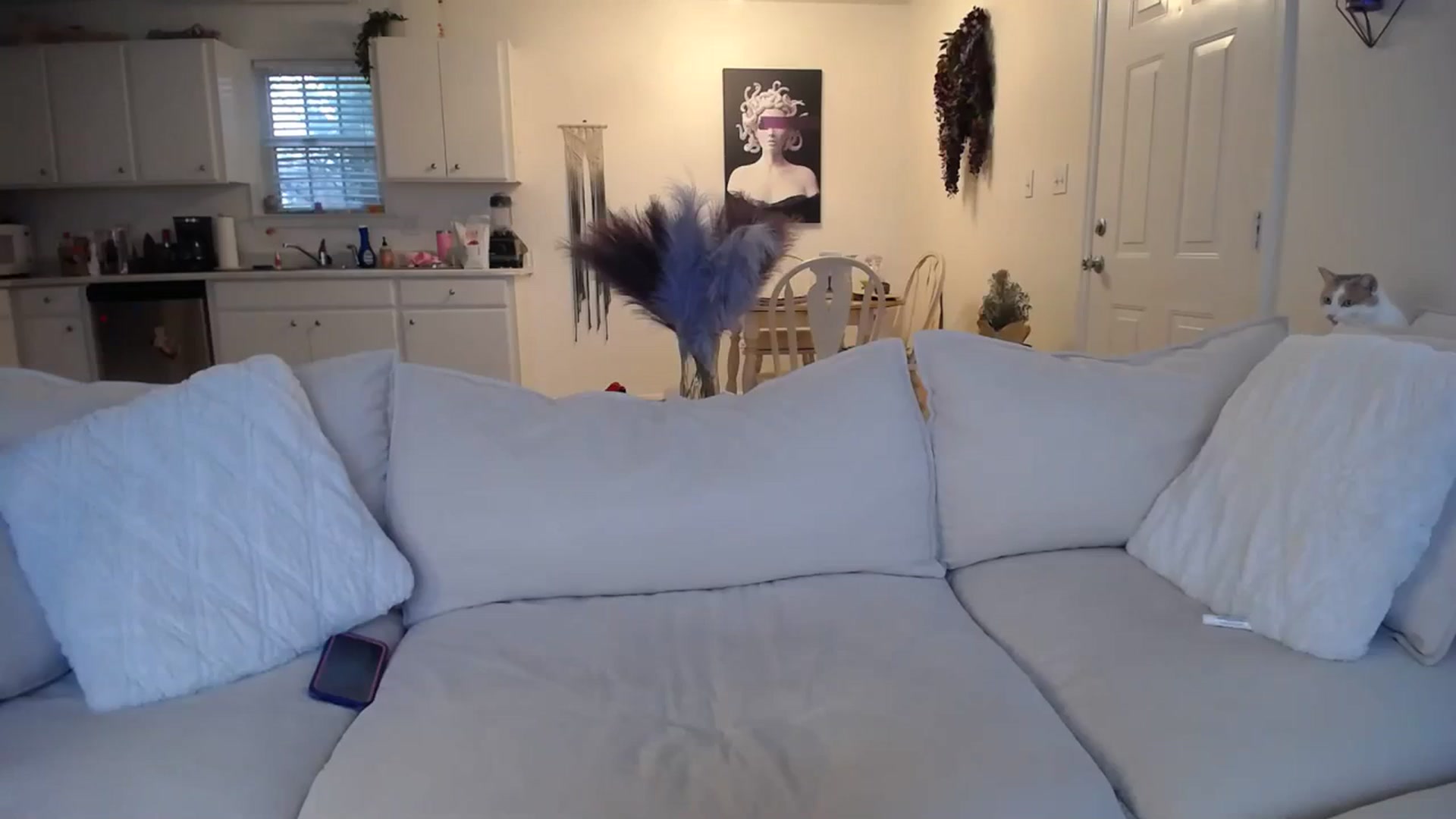 Gallery image thumbnail from MissSadieB's myfreecams stream on, 01/23/2024, 19:38 image 1 of 20