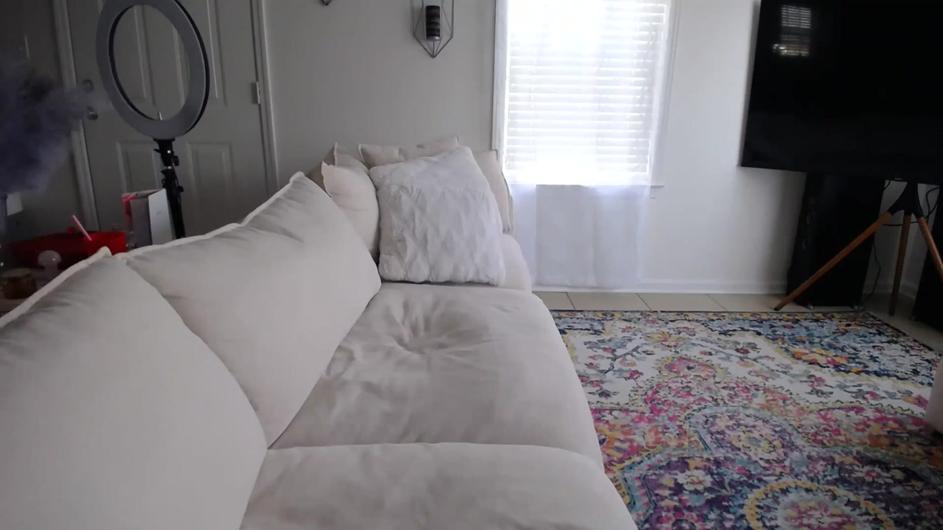Gallery image thumbnail from MissSadieB's myfreecams stream on, 02/21/2024, 21:35 image 20 of 20