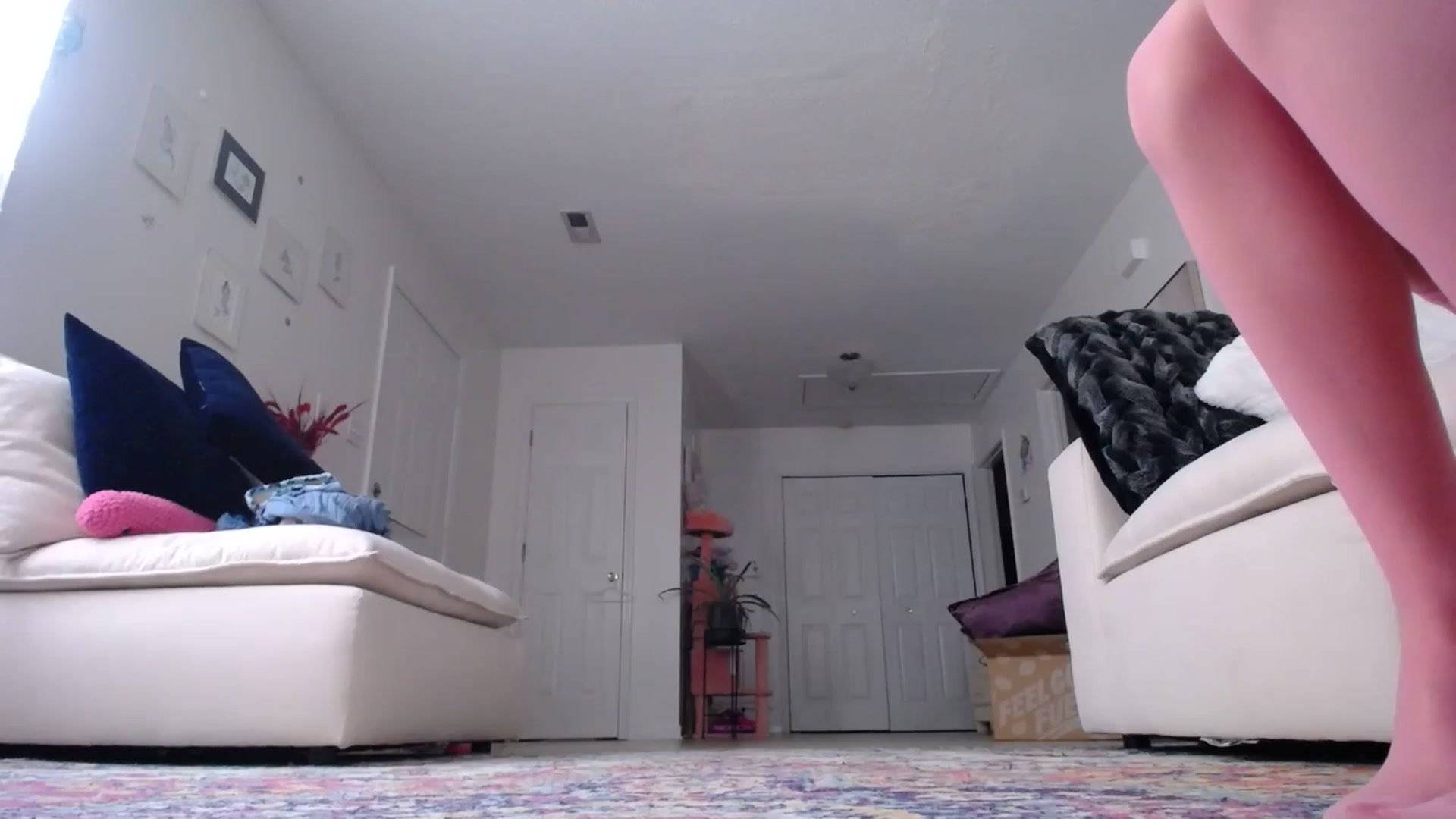 Gallery image thumbnail from MissSadieB's myfreecams stream on, 04/19/2024, 18:04 image 20 of 20
