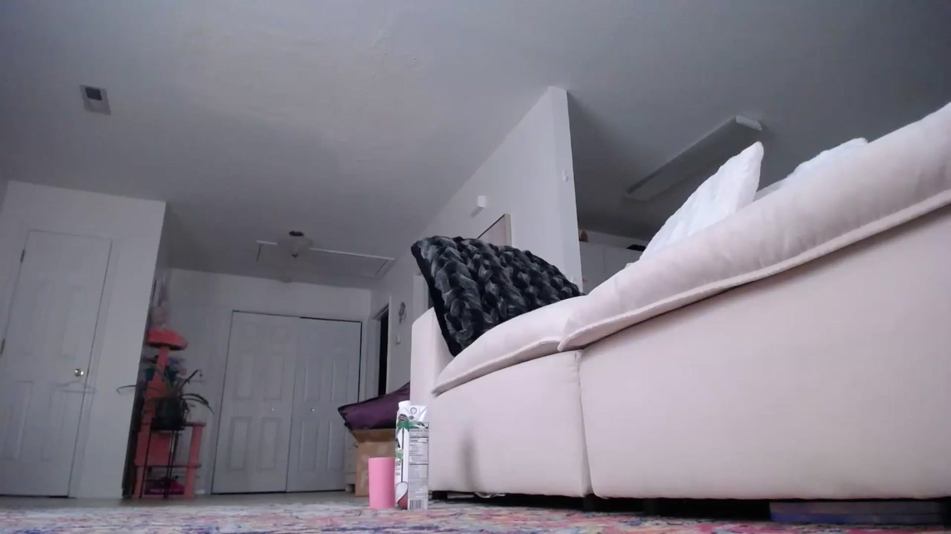 Gallery image thumbnail from MissSadieB's myfreecams stream on, 04/19/2024, 19:36 image 19 of 20