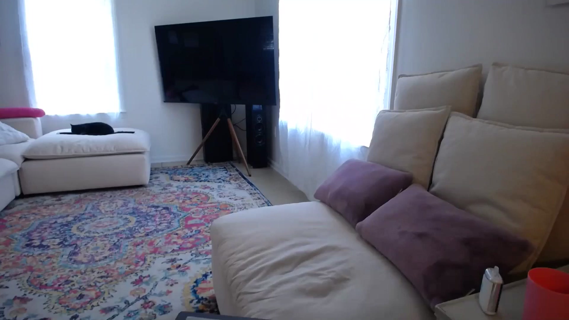 Gallery image thumbnail from MissSadieB's myfreecams stream on, 07/14/2024, 19:02 image 1 of 20