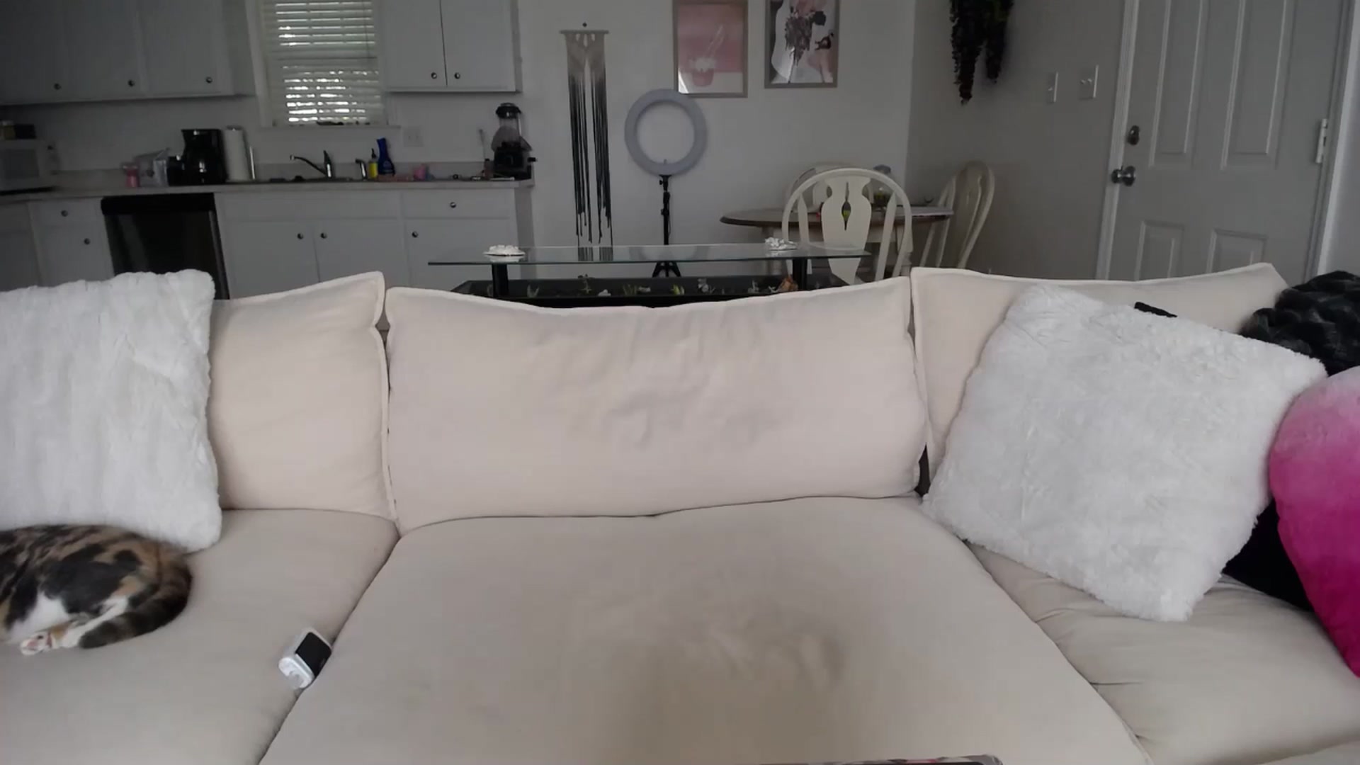 Gallery image thumbnail from MissSadieB's myfreecams stream on, 07/31/2024, 18:13 image 20 of 20