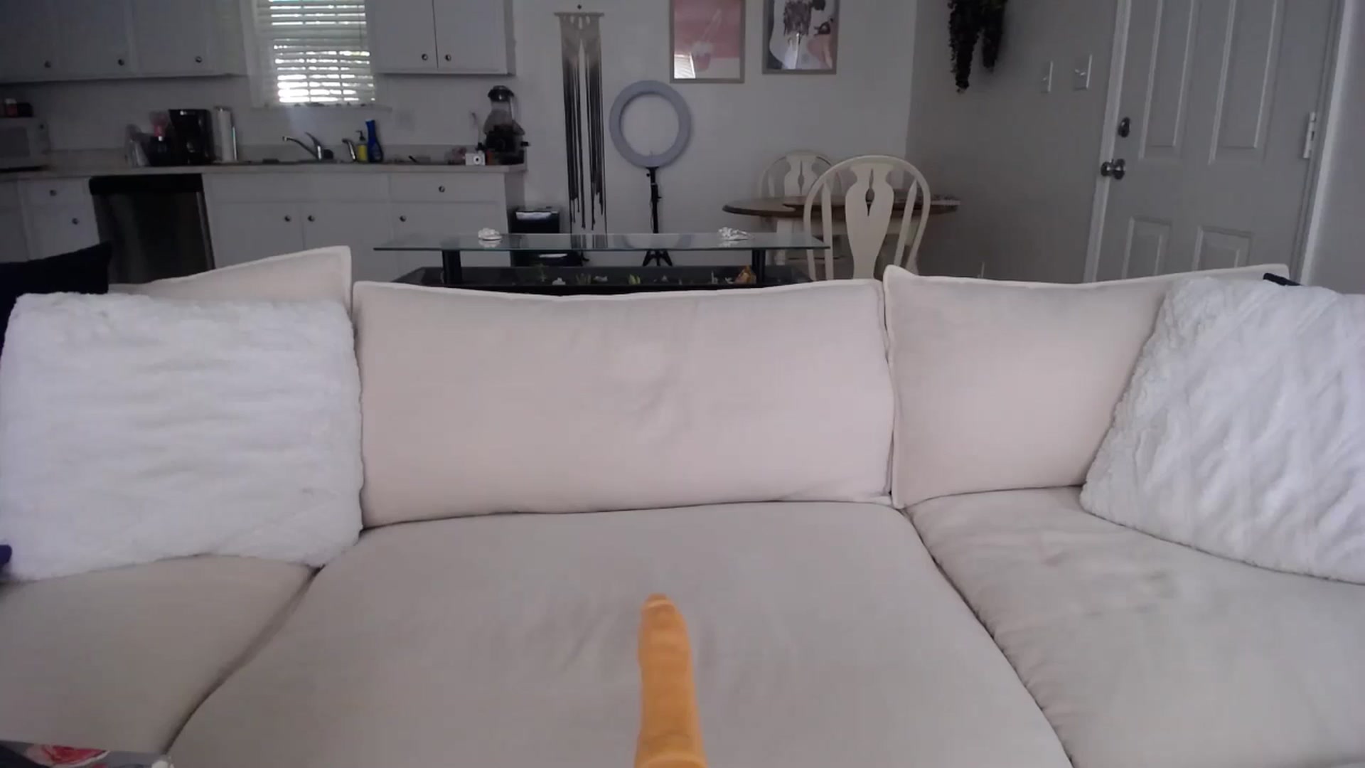 Gallery image thumbnail from MissSadieB's myfreecams stream on, 08/23/2024, 19:02 image 9 of 20