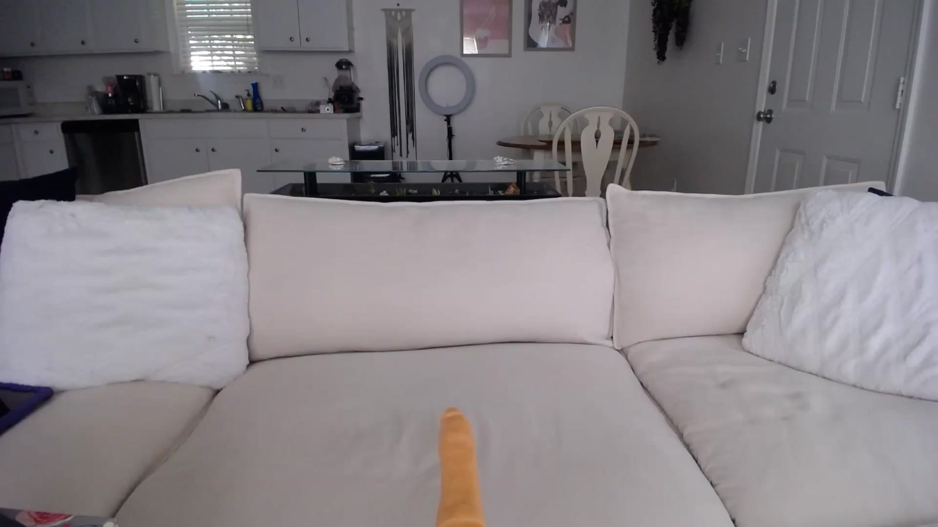 Gallery image thumbnail from MissSadieB's myfreecams stream on, 08/23/2024, 19:02 image 2 of 20